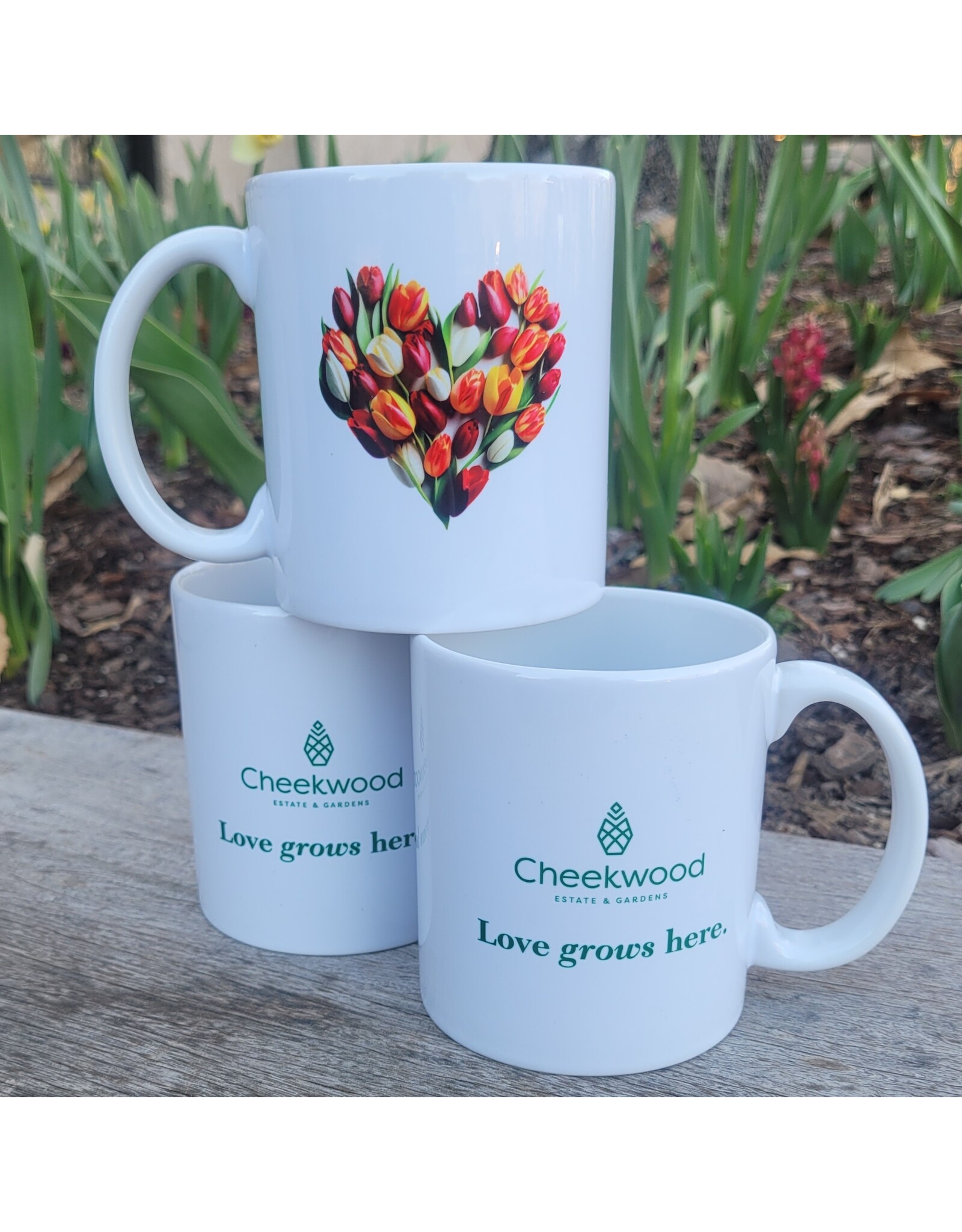 Love Grows Here Mug