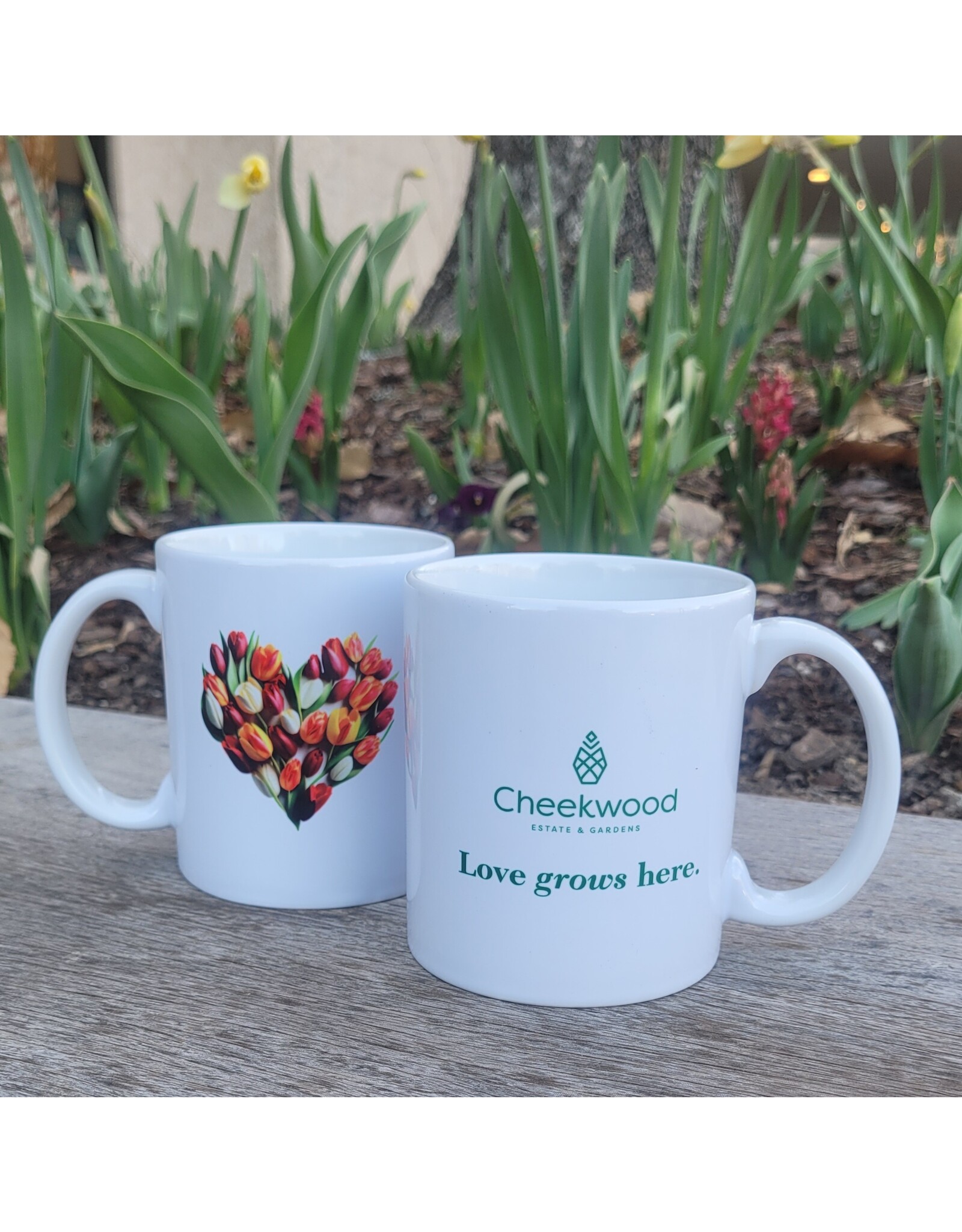 Love Grows Here Mug