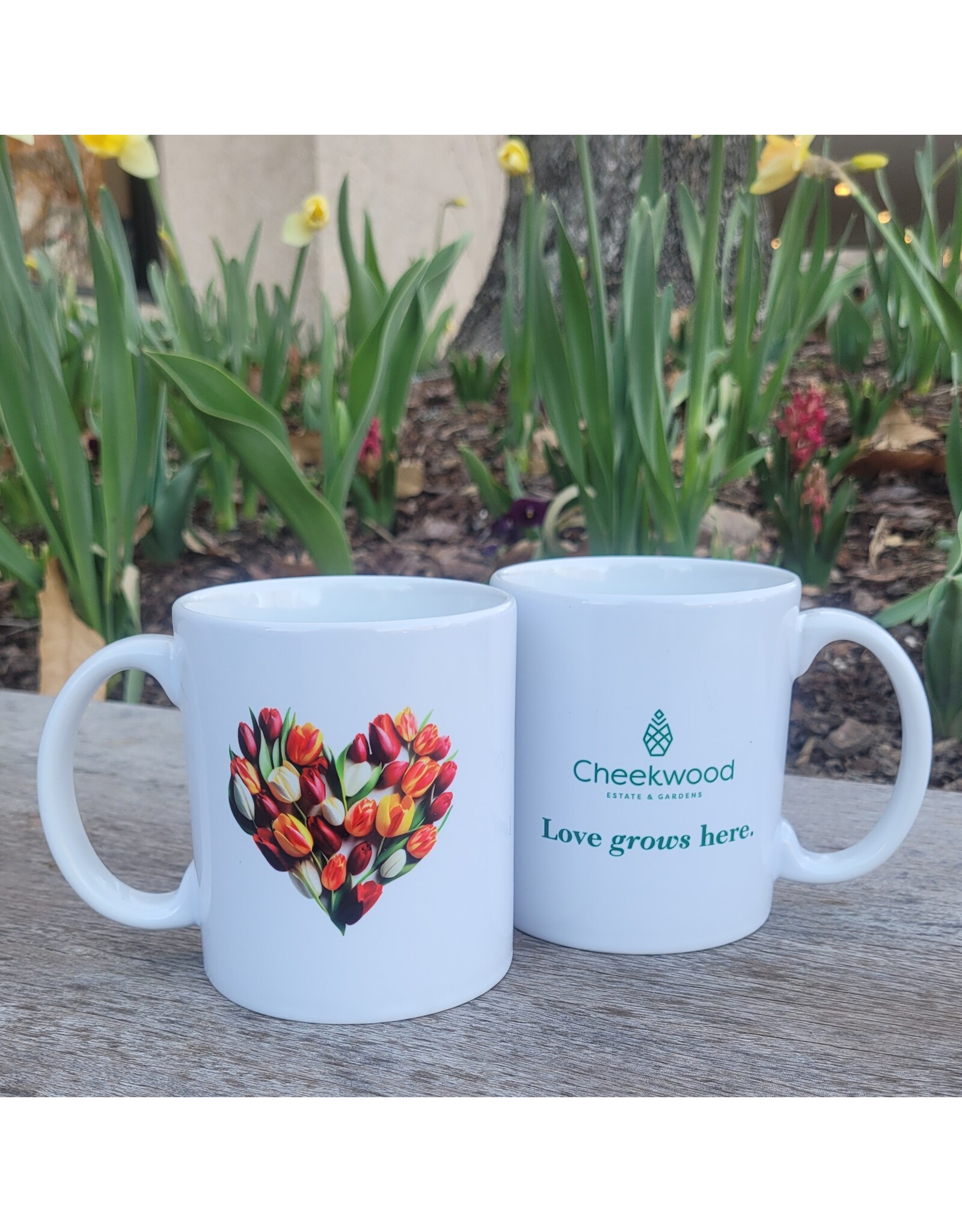 Love Grows Here Mug