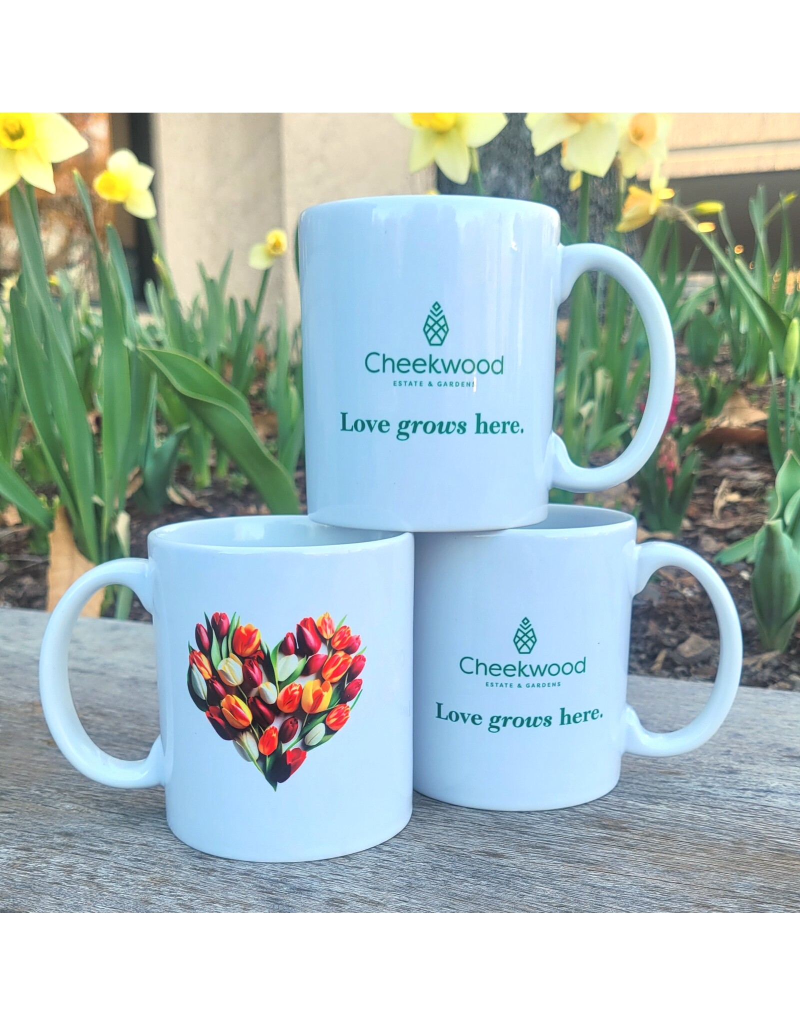 Love Grows Here Mug