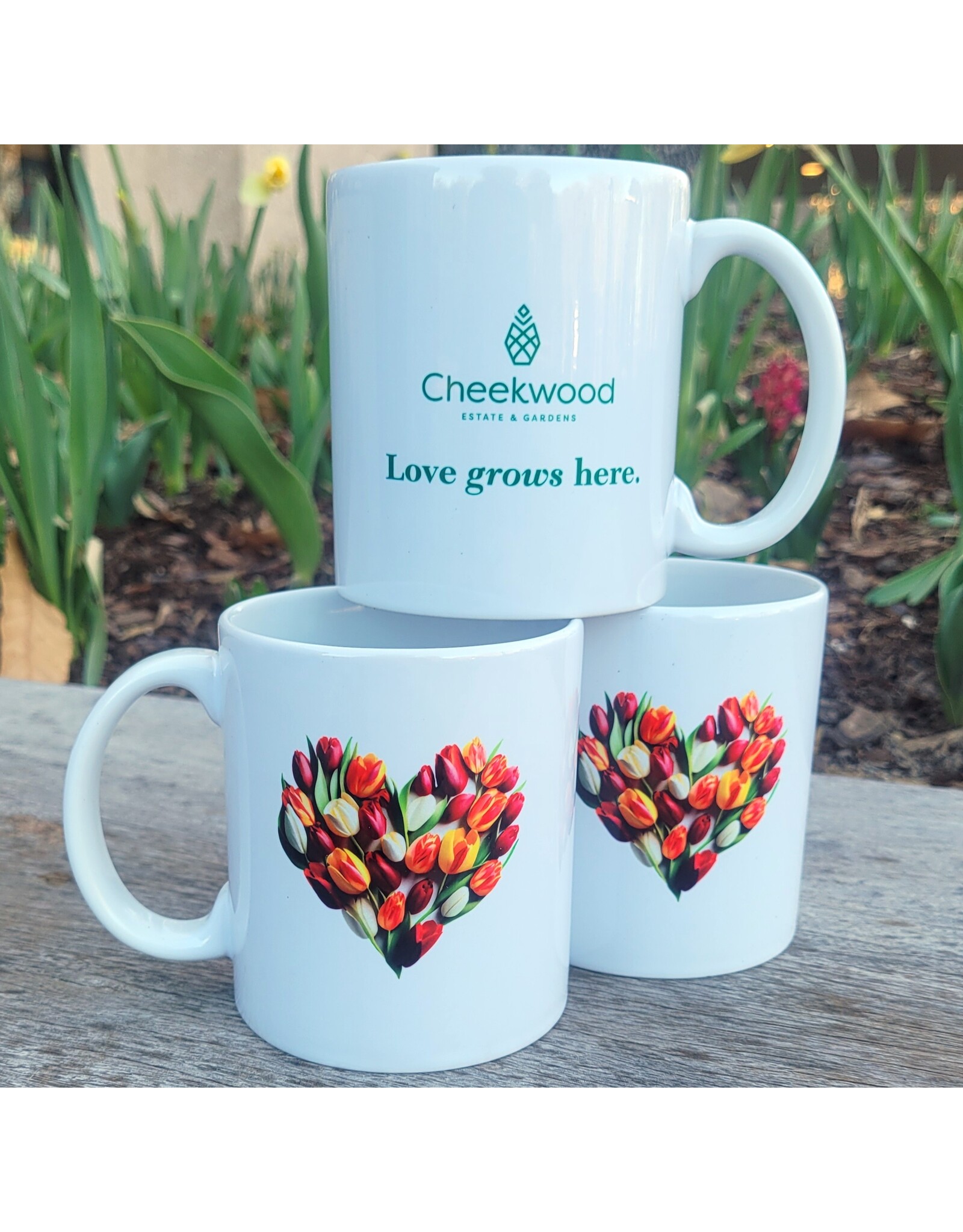 Love Grows Here Mug