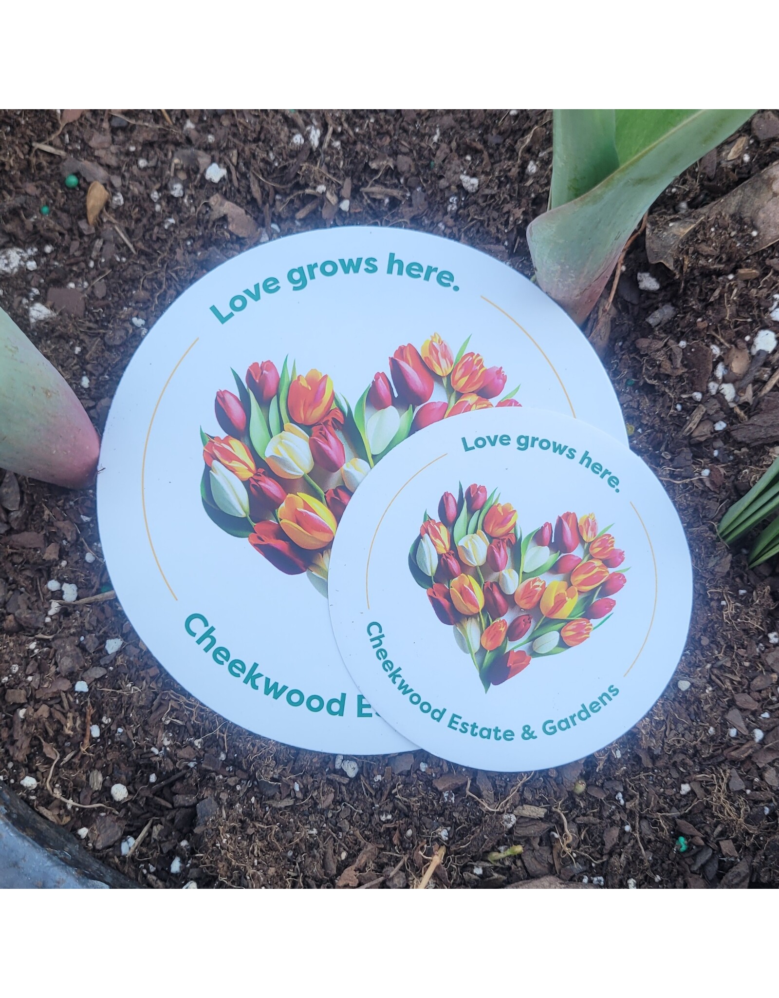 Love Grows Here Sticker