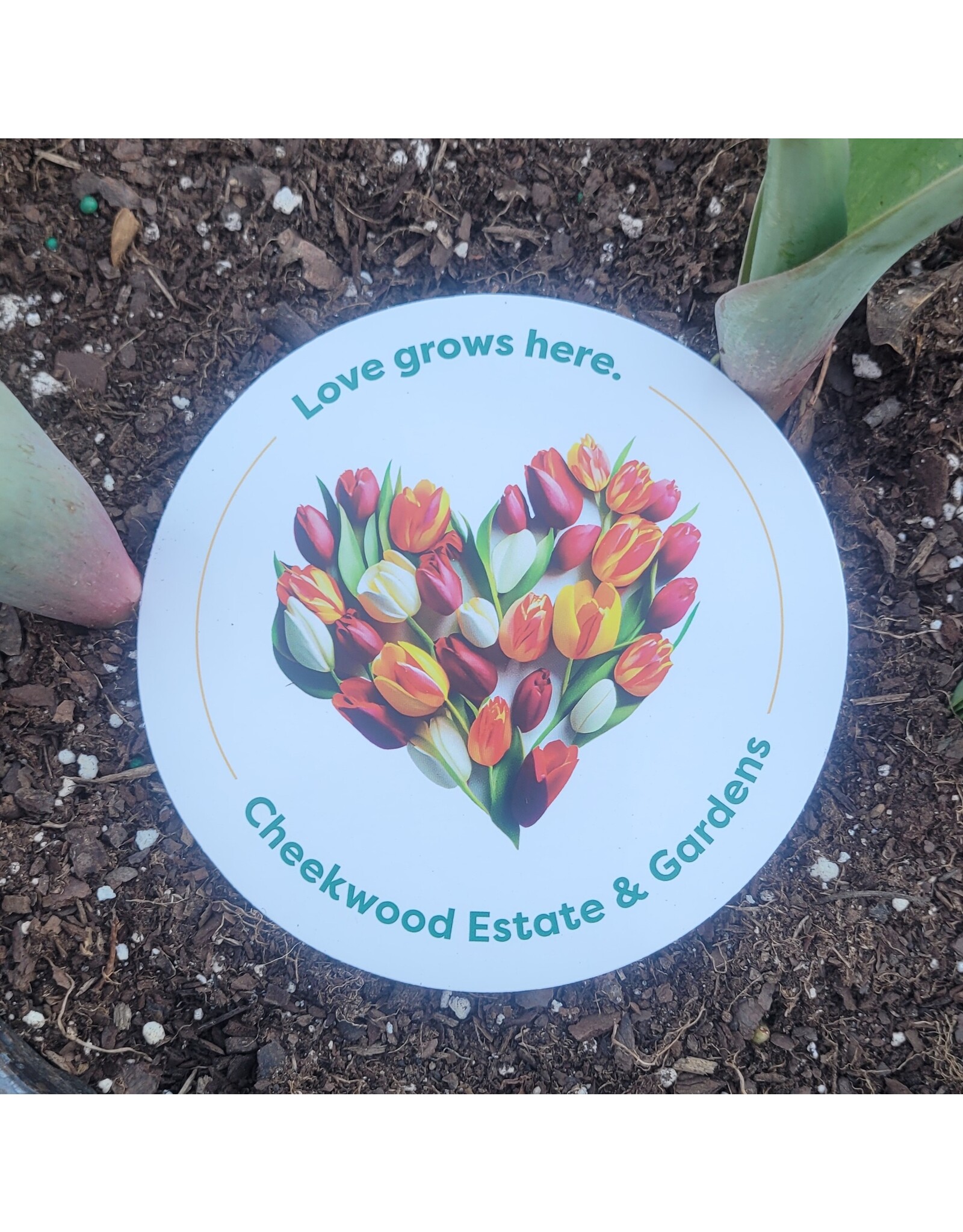 Love Grows Here Sticker