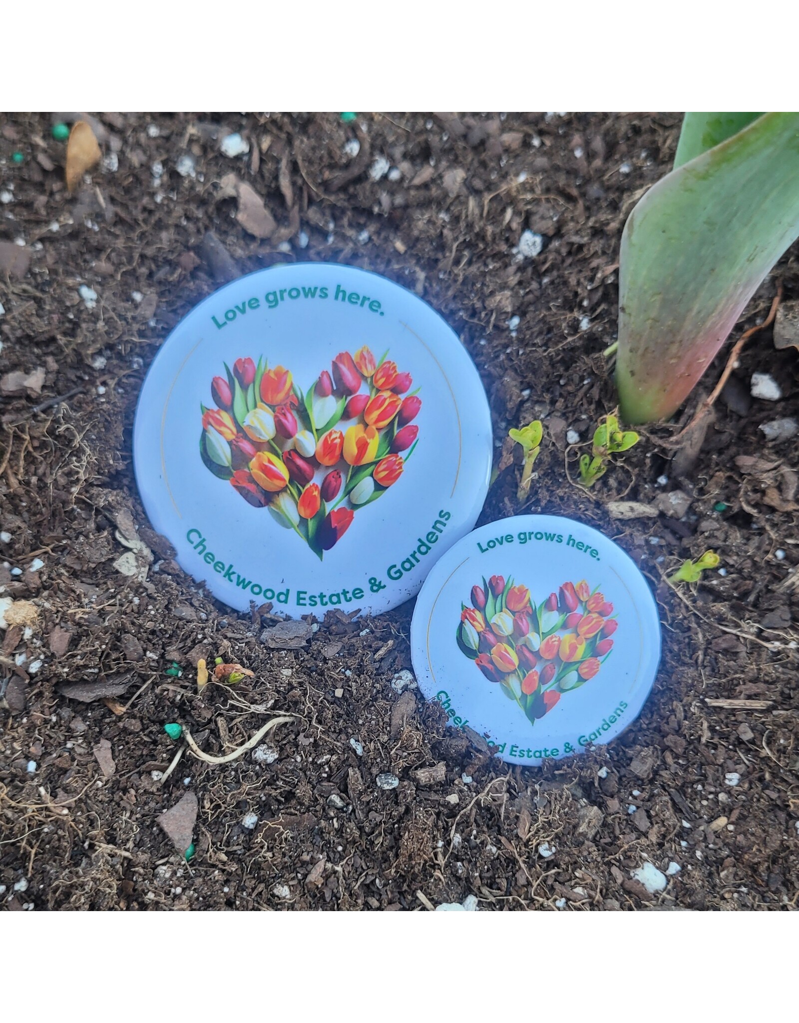 Love Grows Here Button