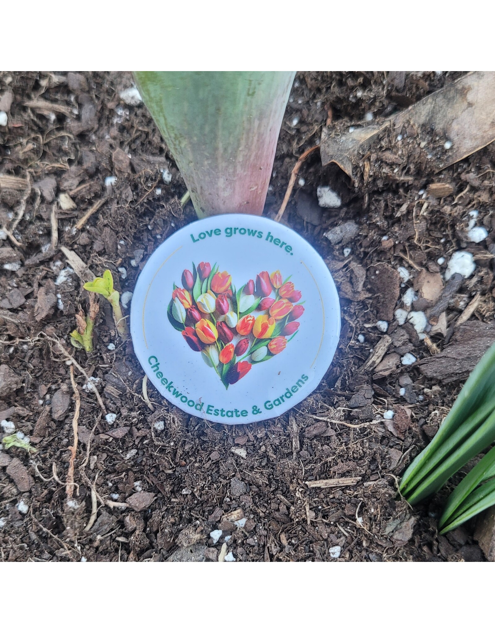 Love Grows Here Button