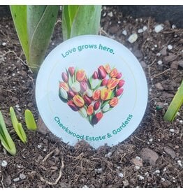 Love Grows Here Magnet