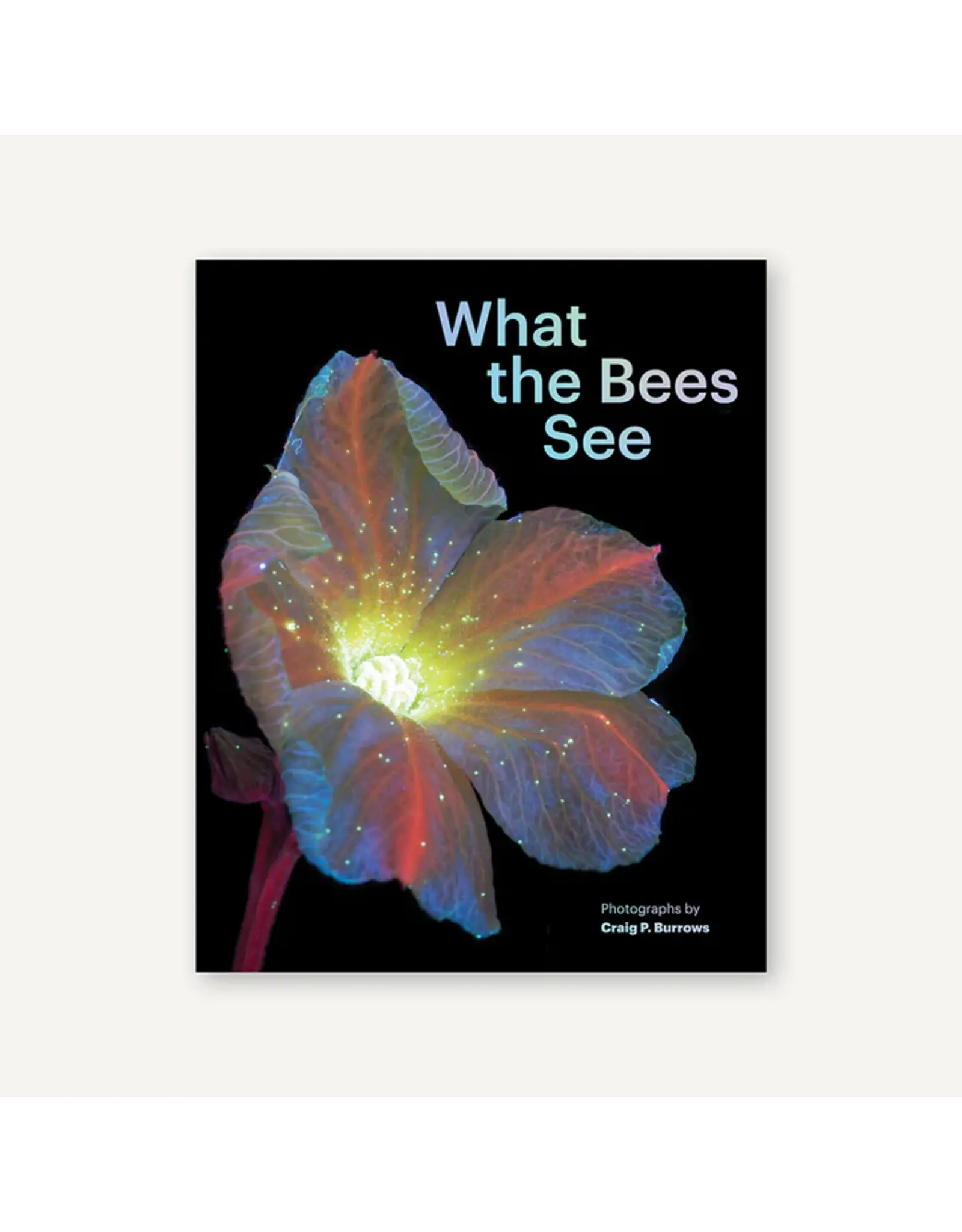 What the Bees See