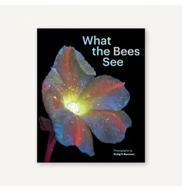 What the Bees See