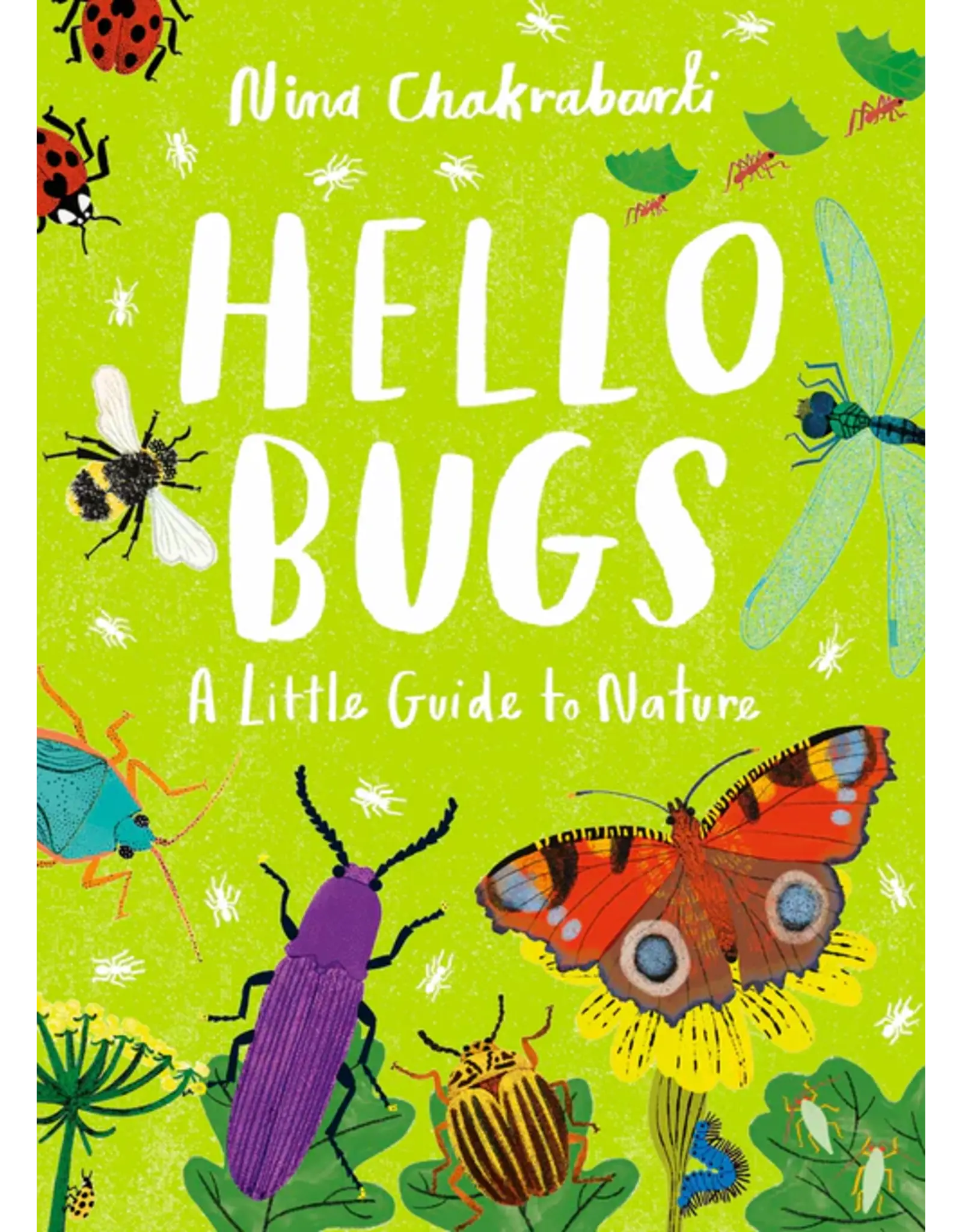 A Little Guide to Nature: Hello Bugs