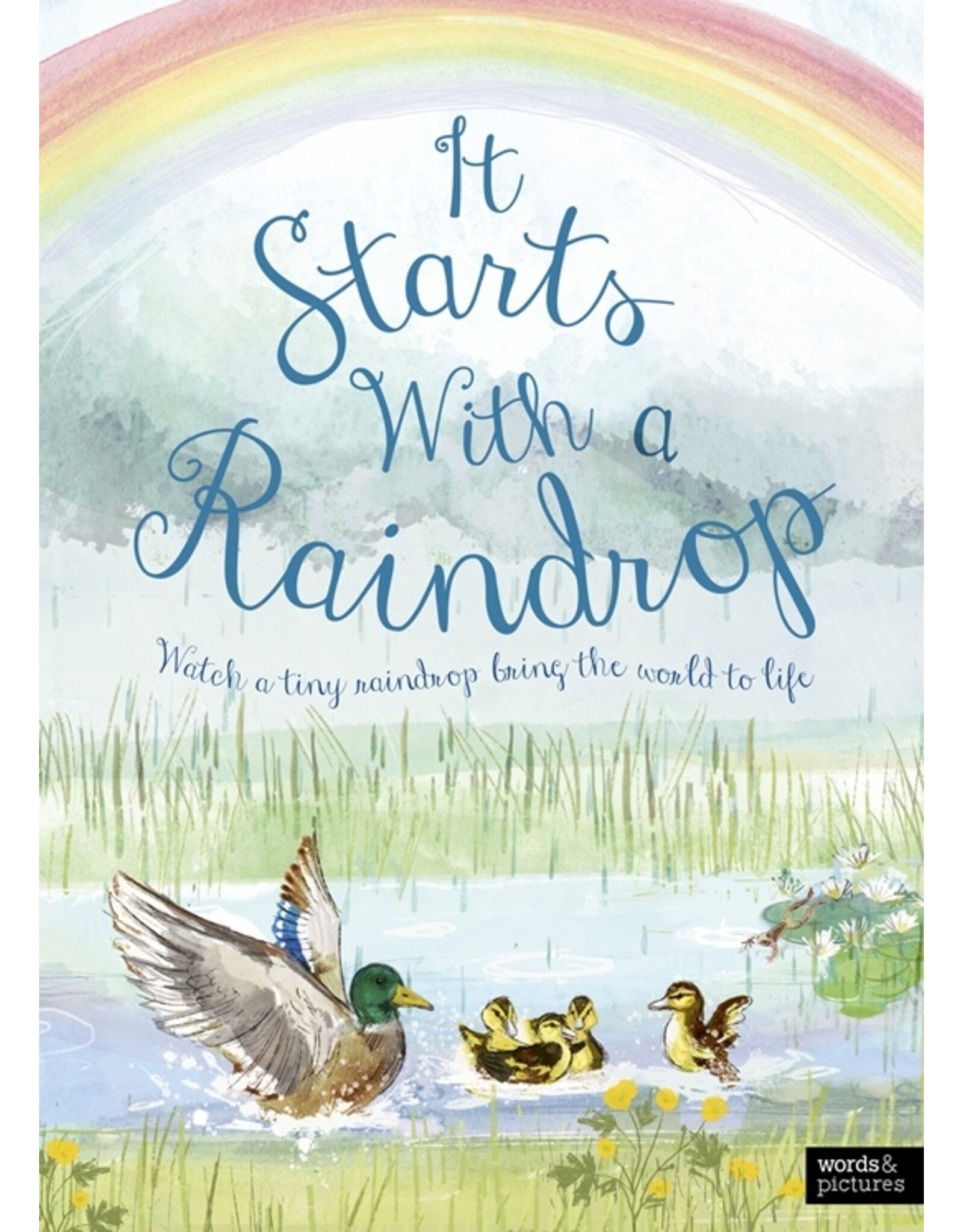 It Starts with a Raindrop