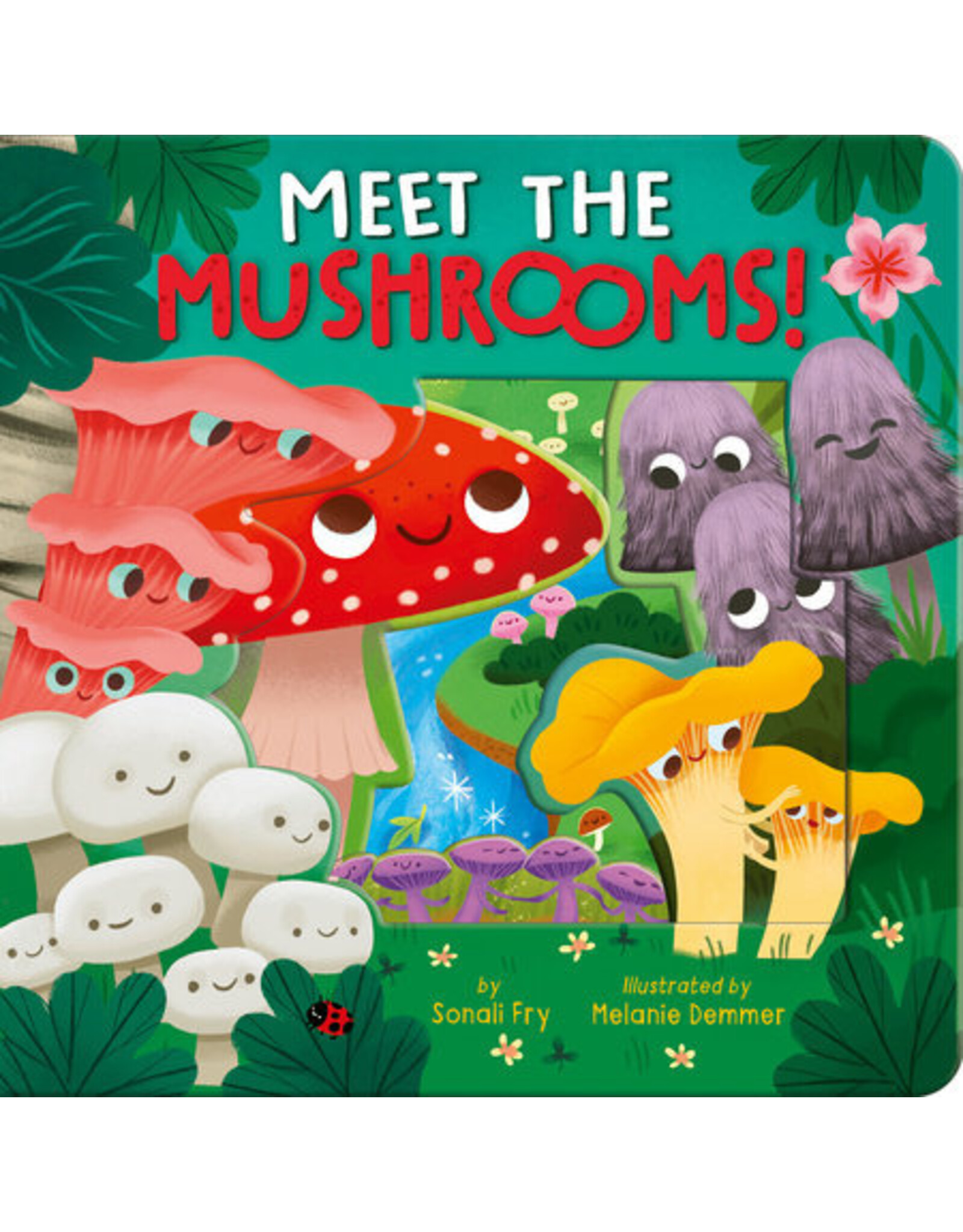 Meet the Mushrooms!