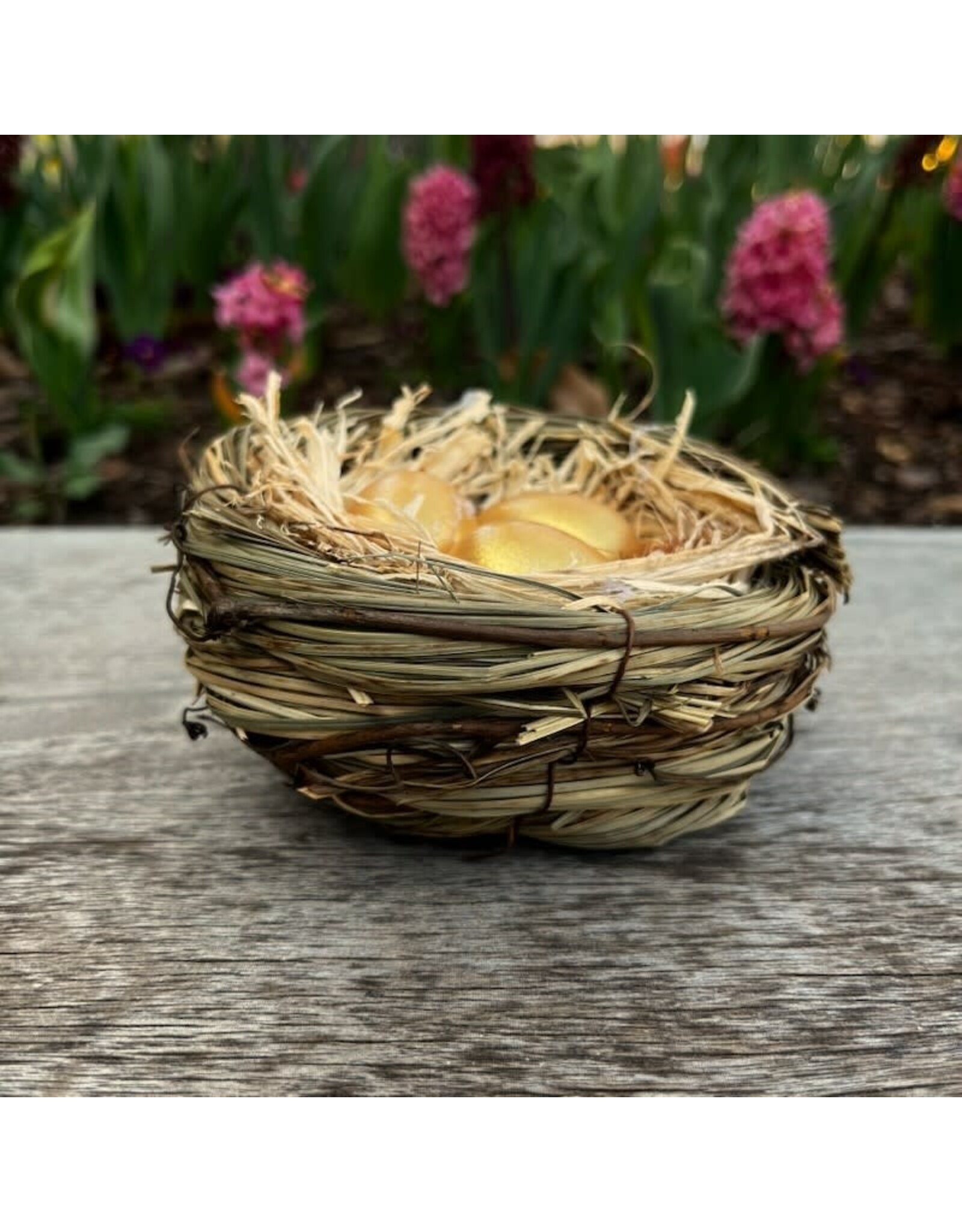 Bird's Nest