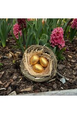 Bird's Nest