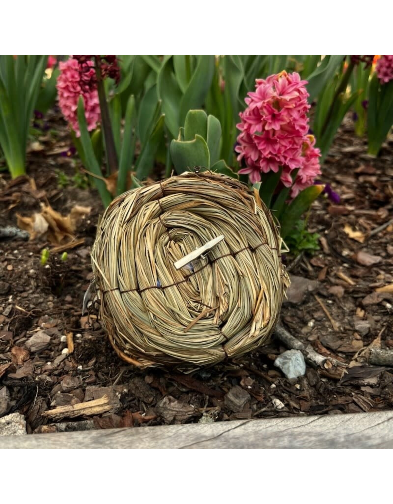 Bird's Nest