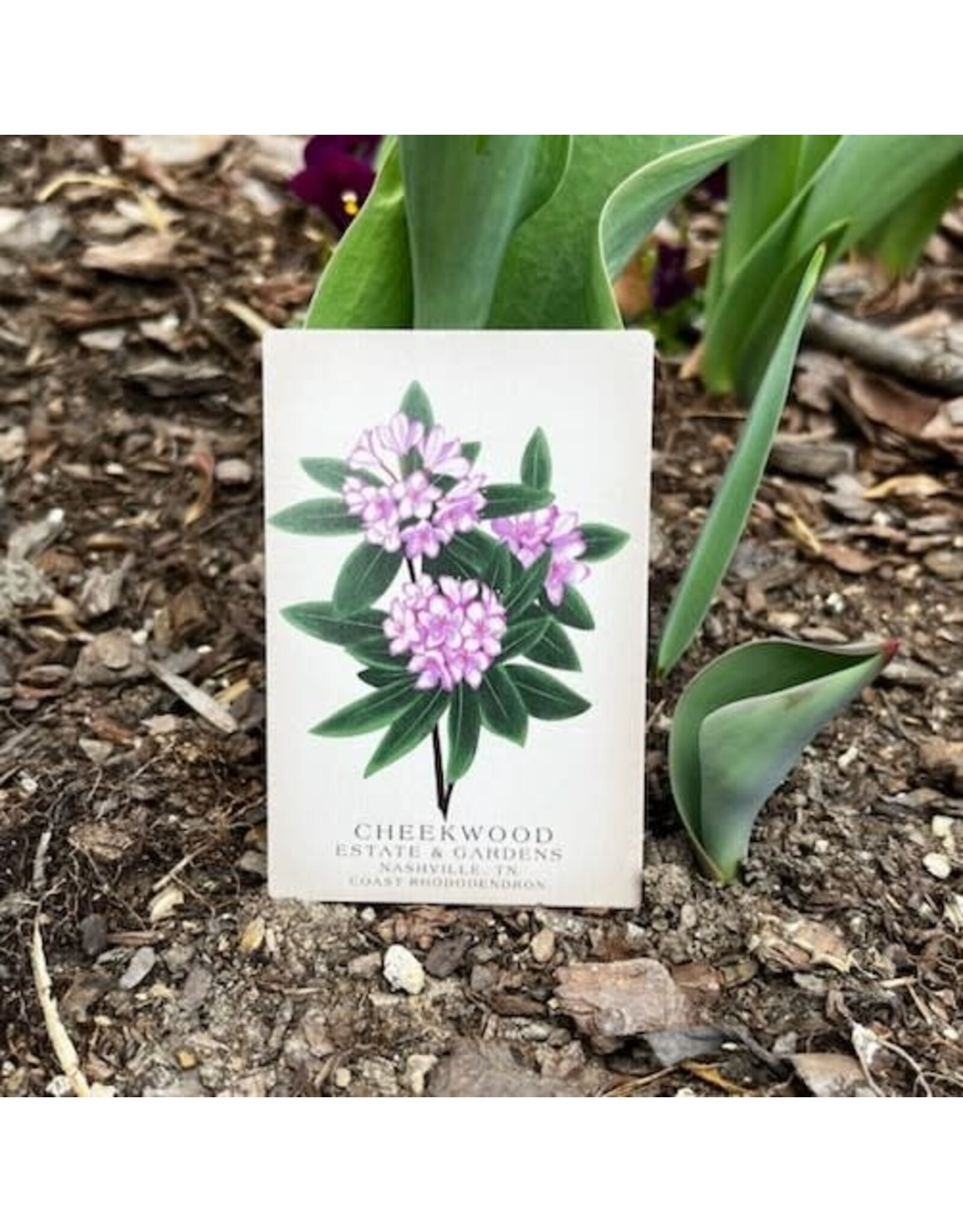 Cheekwood Floral Magnet