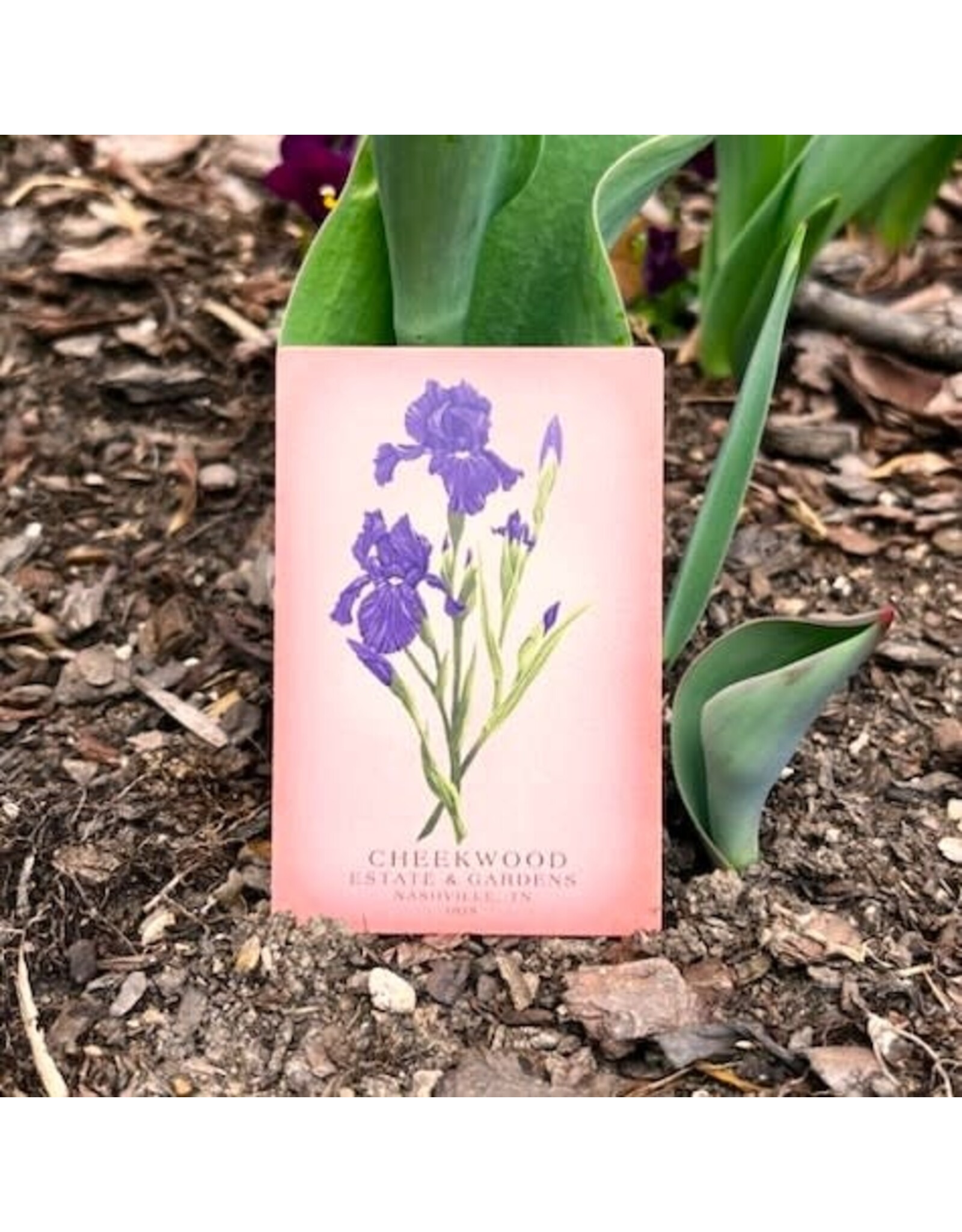 Cheekwood Floral Magnet