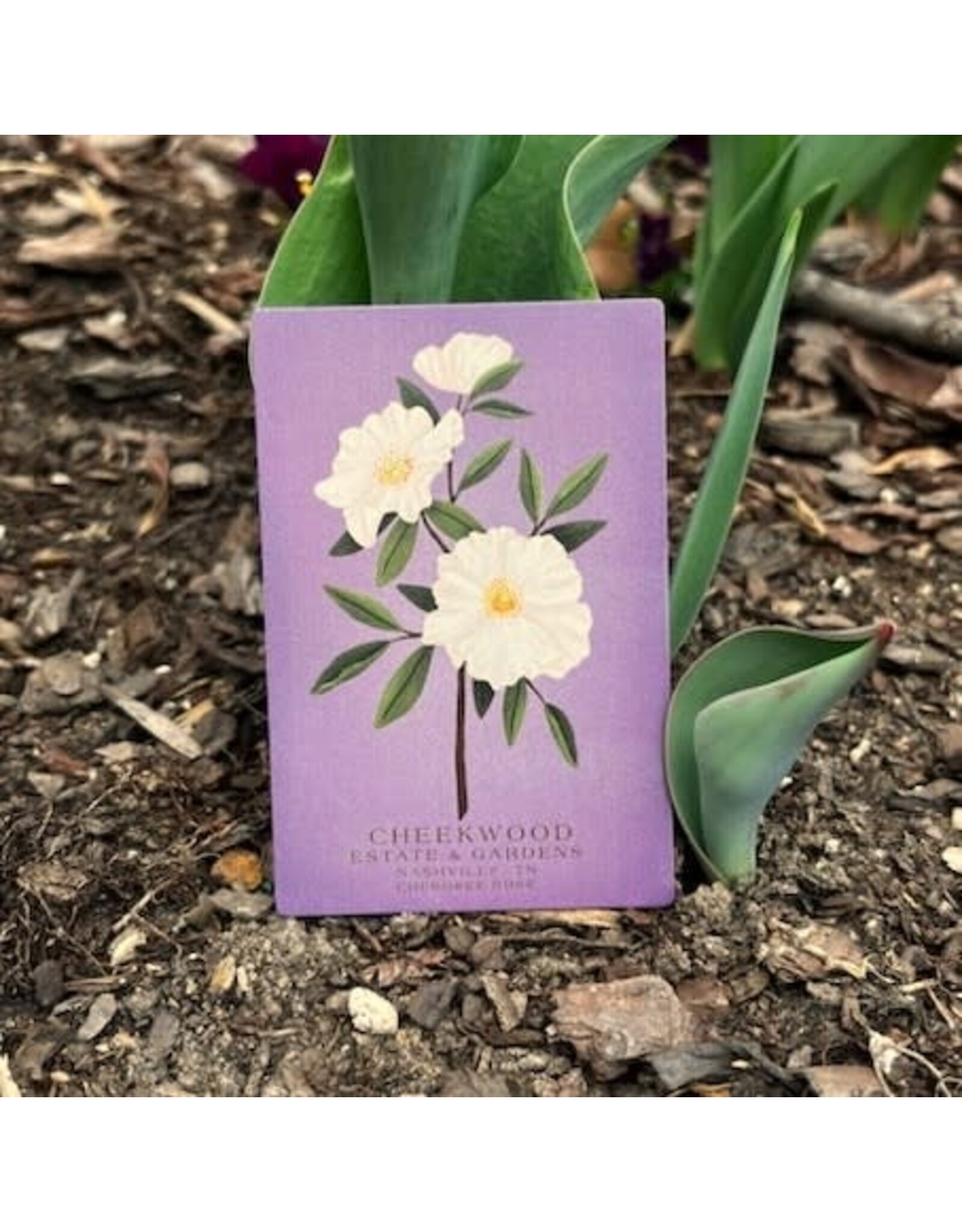 Cheekwood Floral Magnet