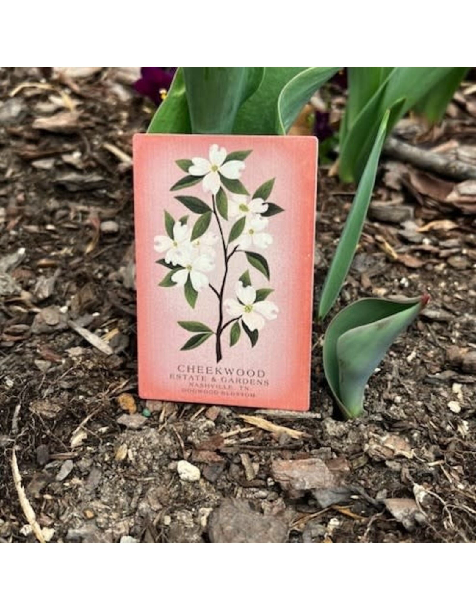 Cheekwood Floral Magnet