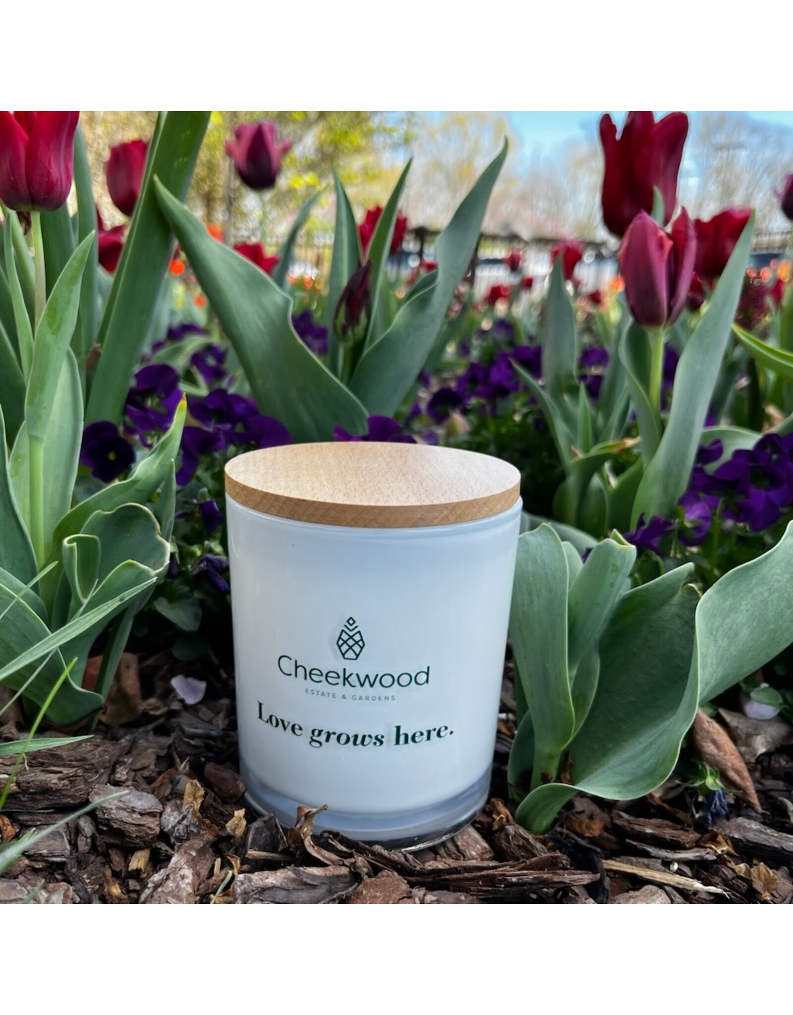 Unplug Love Grows Here Candle