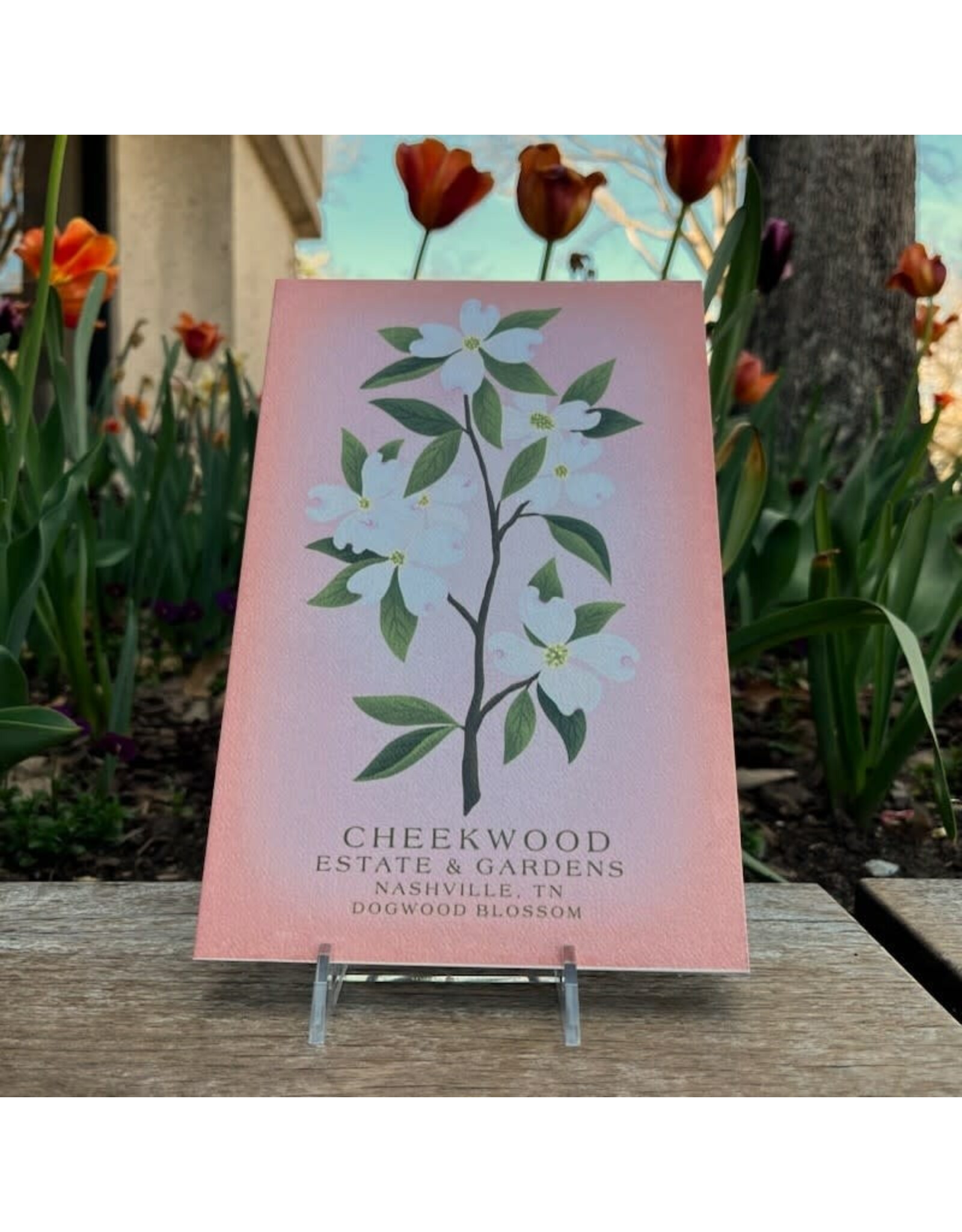 Cheekwood Dogwood Journal