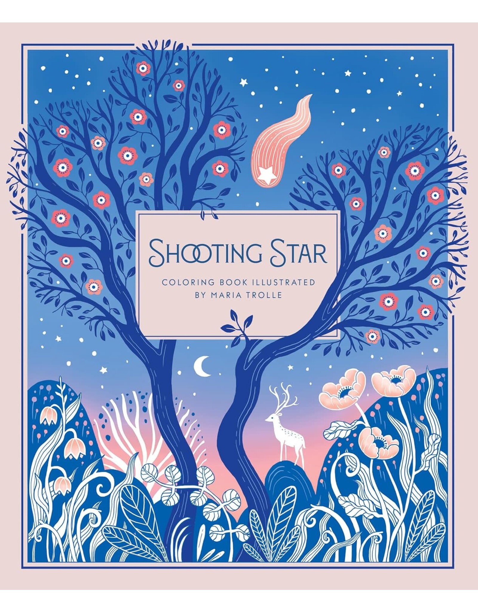 Shooting Star Coloring Book