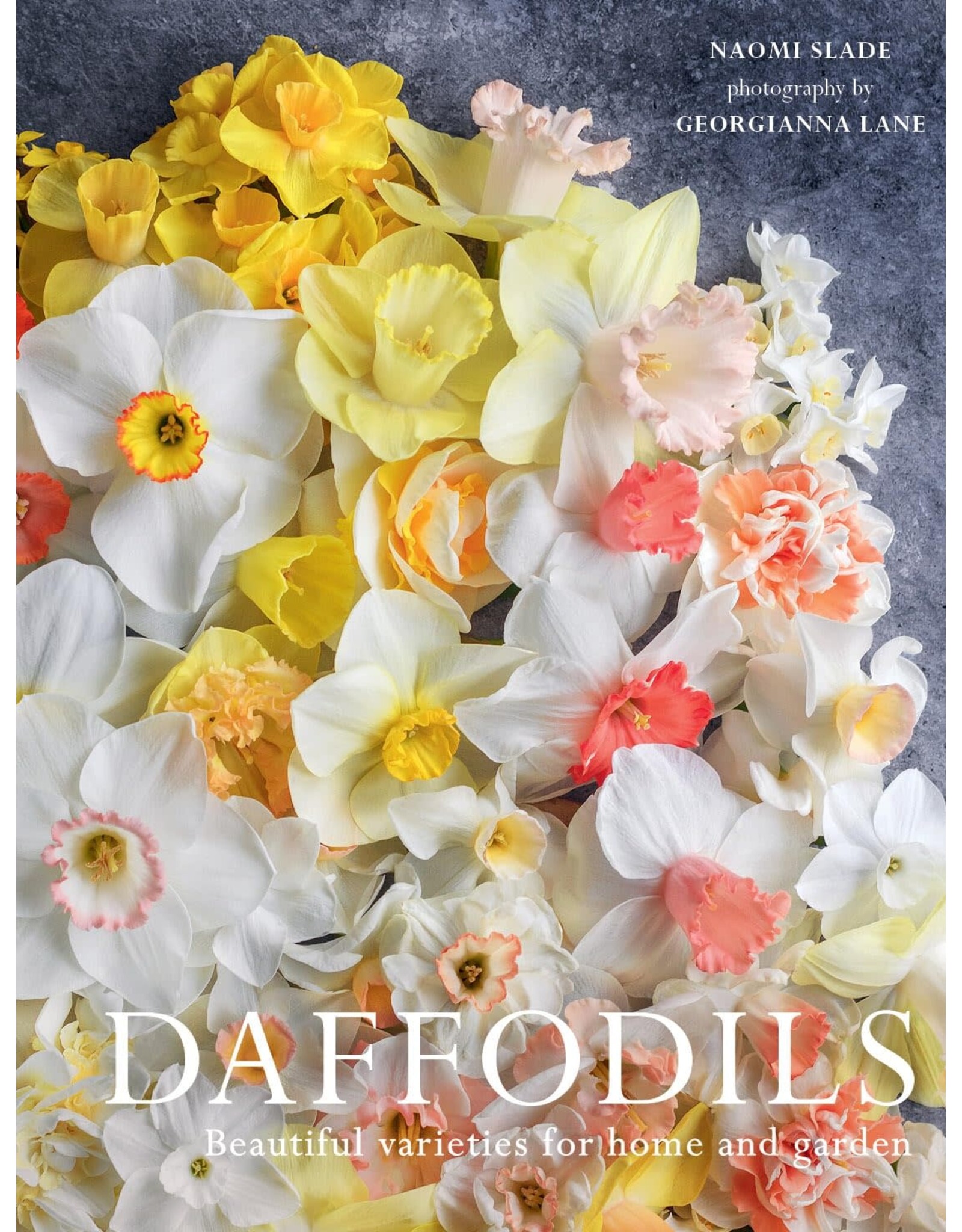 Daffodils