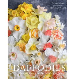 Daffodils