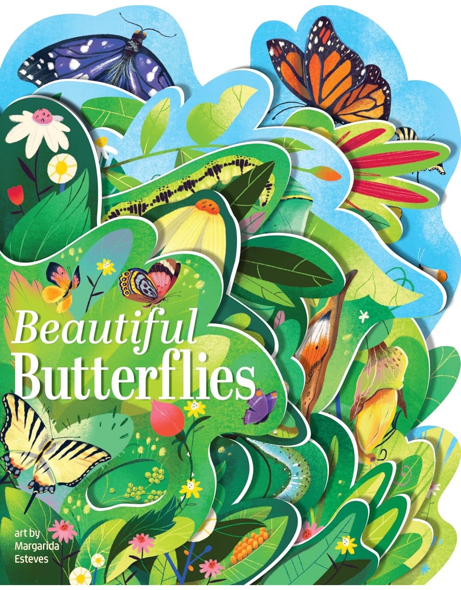 Beautiful Butterflies