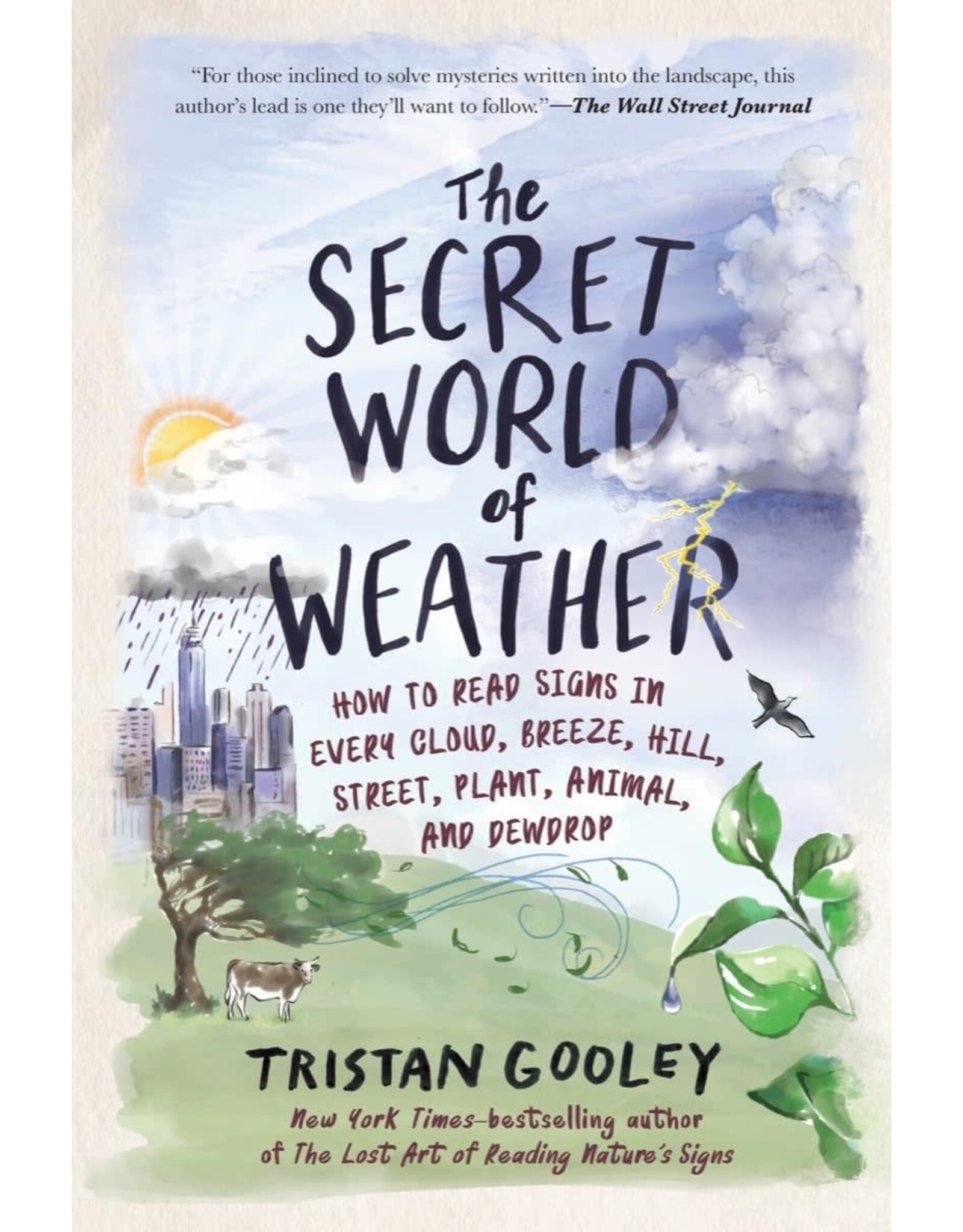 The Secret World of Weather