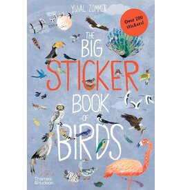 The Big Sticker Book of Birds