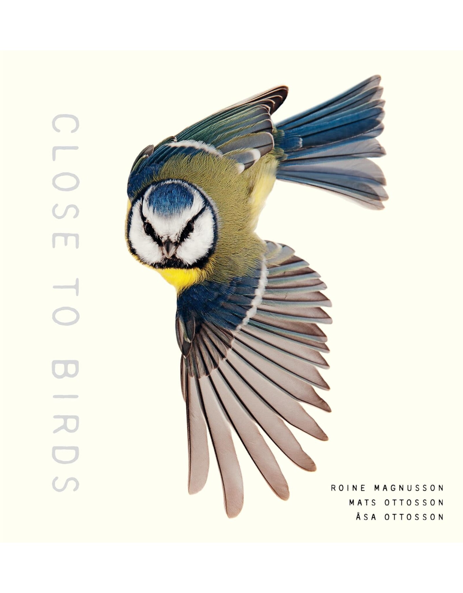 Close to Birds