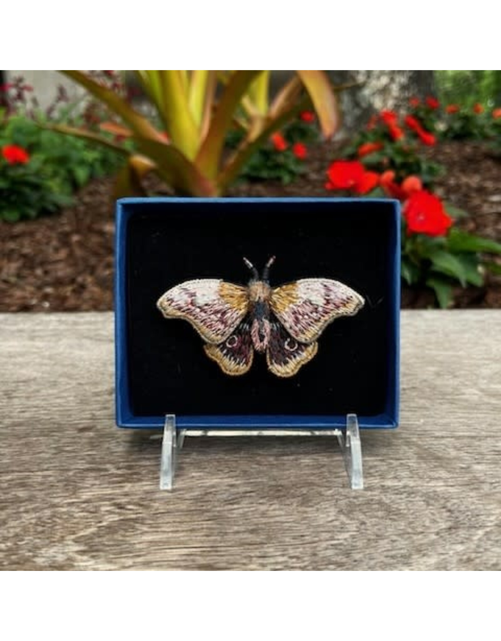 Moth Brooch