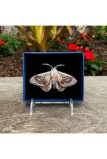 Moth Brooch