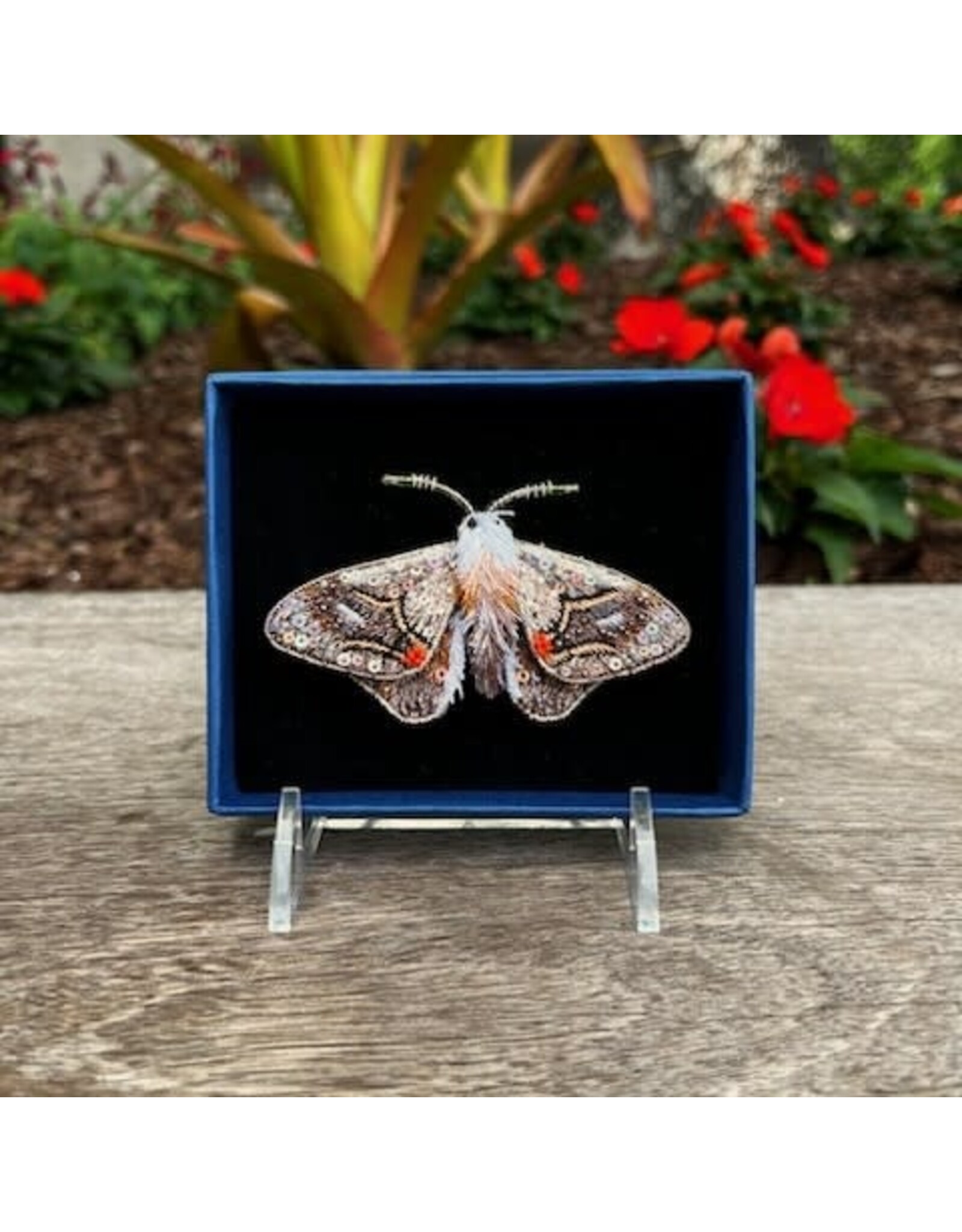 Moth Brooch