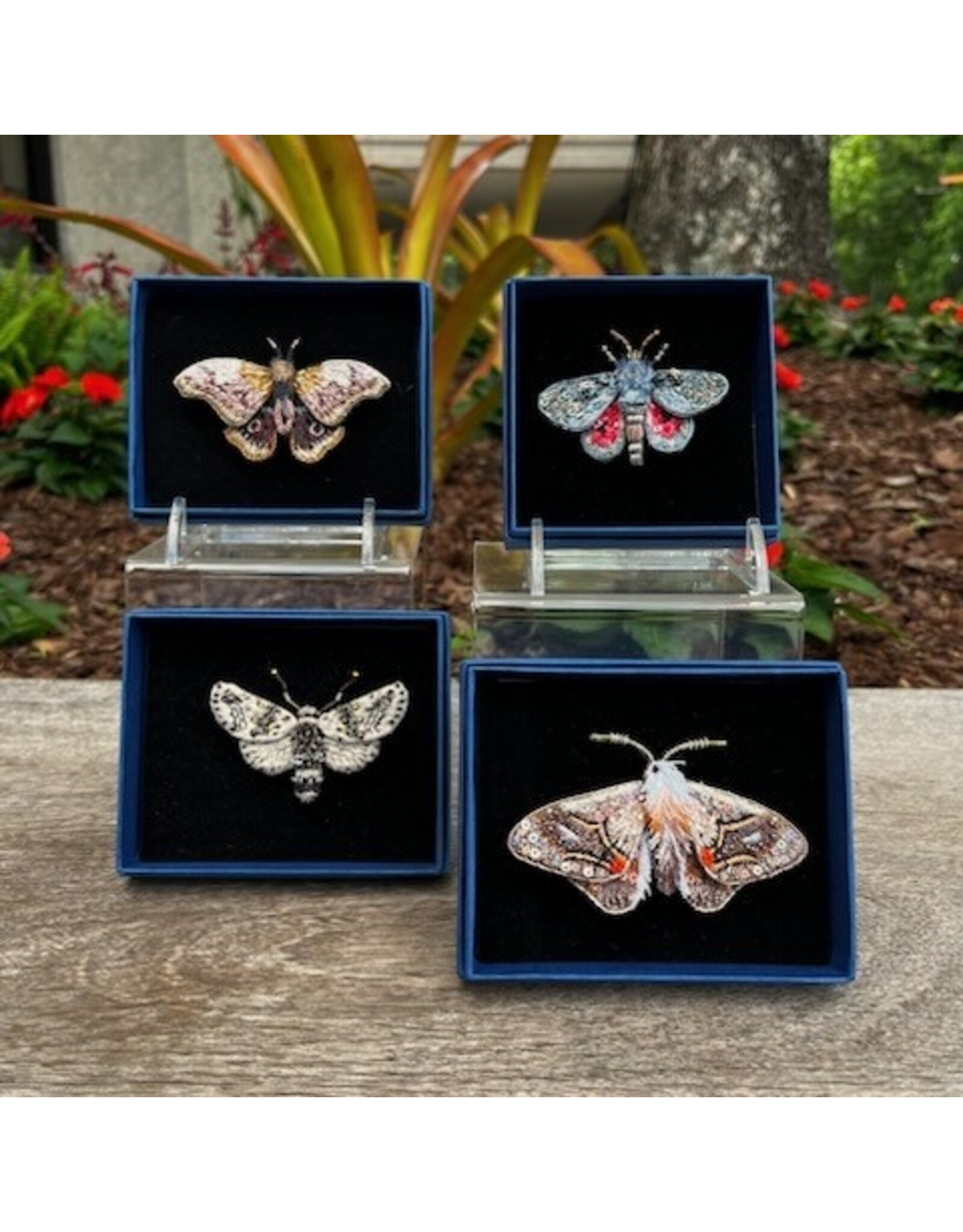 Moth Brooch