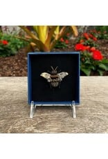 Bee Brooch