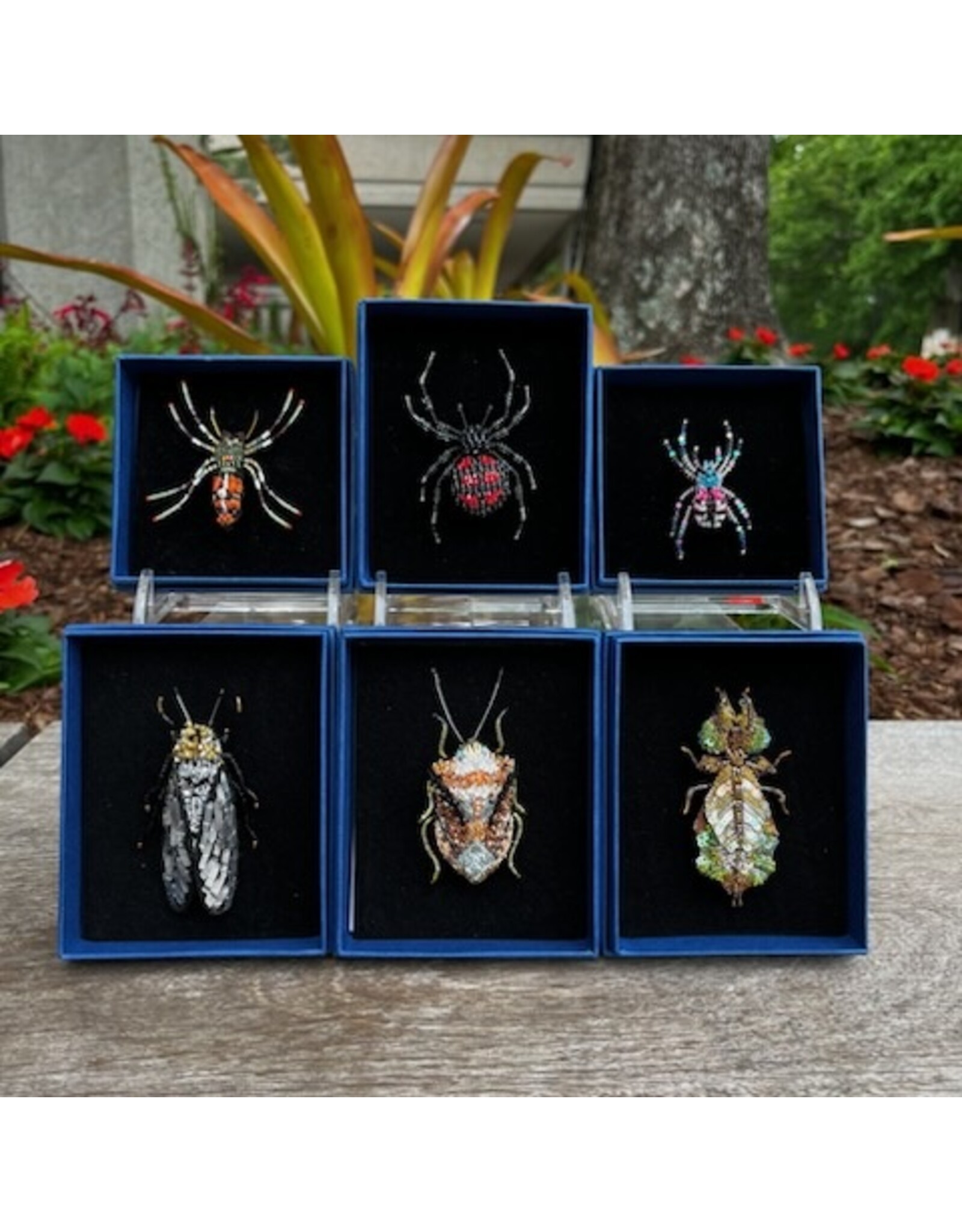 Bug Brooch