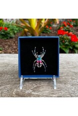 Bug Brooch