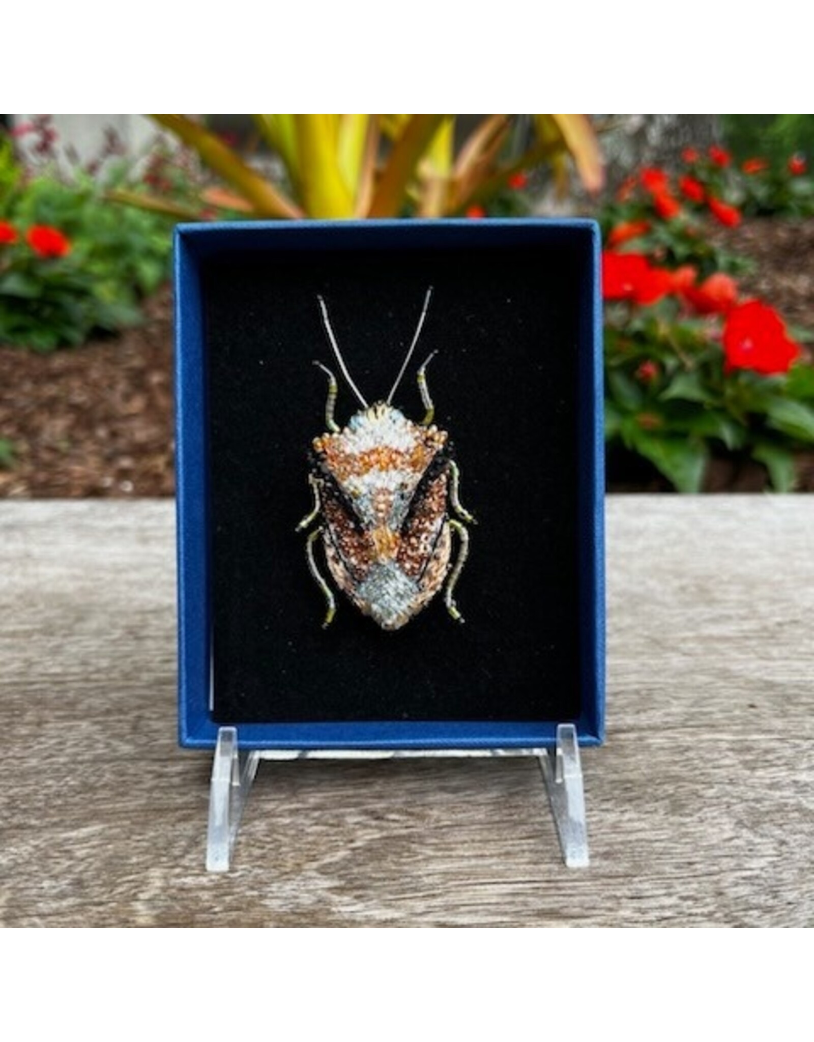 Bug Brooch