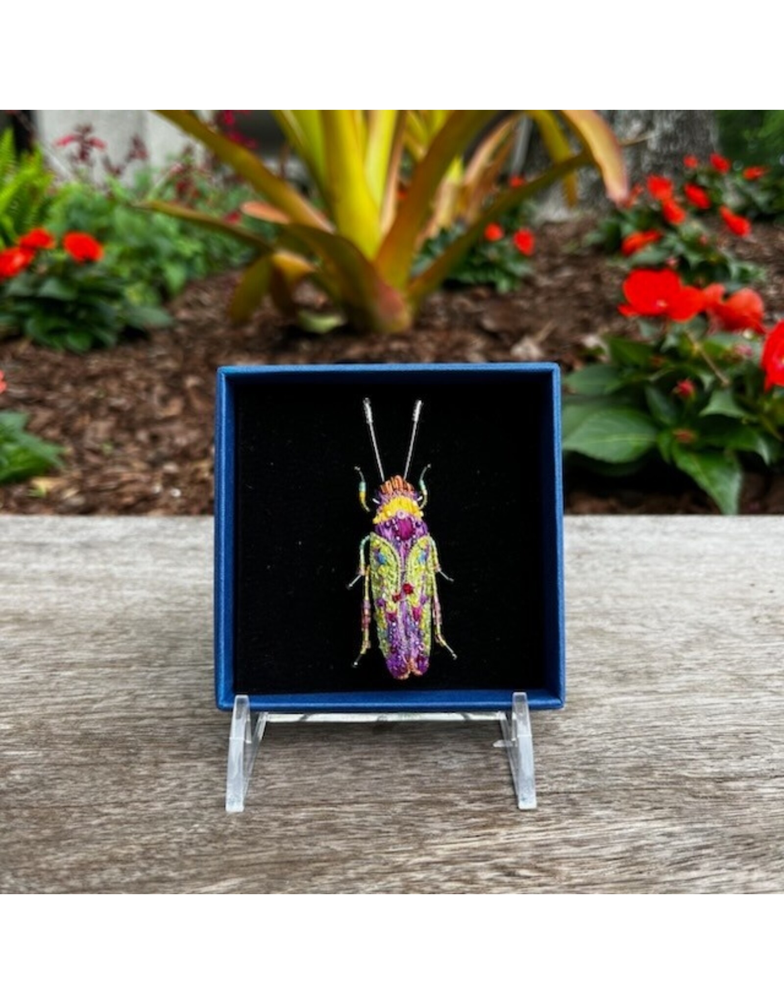 Beetle Brooch