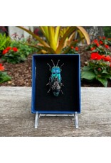 Beetle Brooch