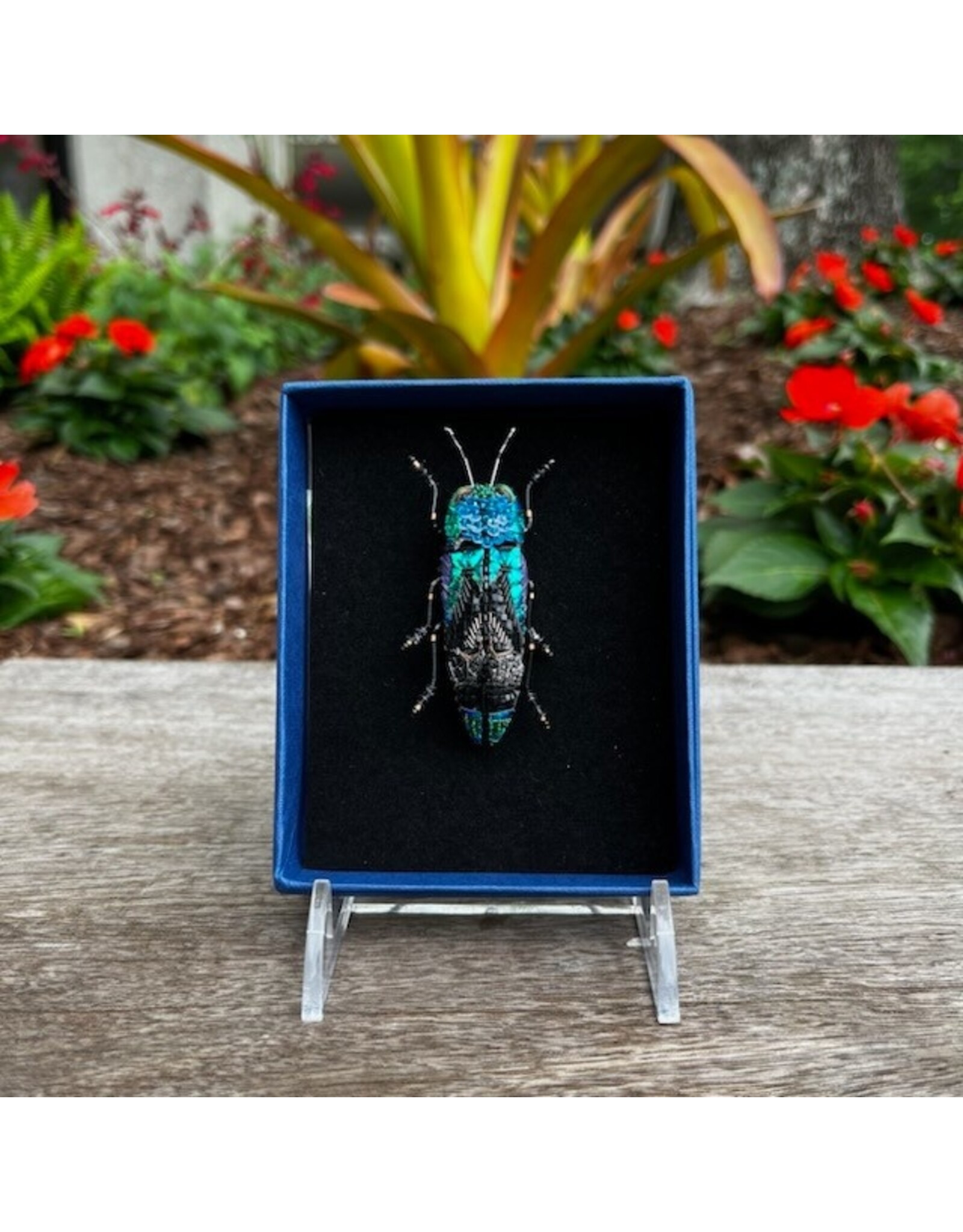 Beetle Brooch