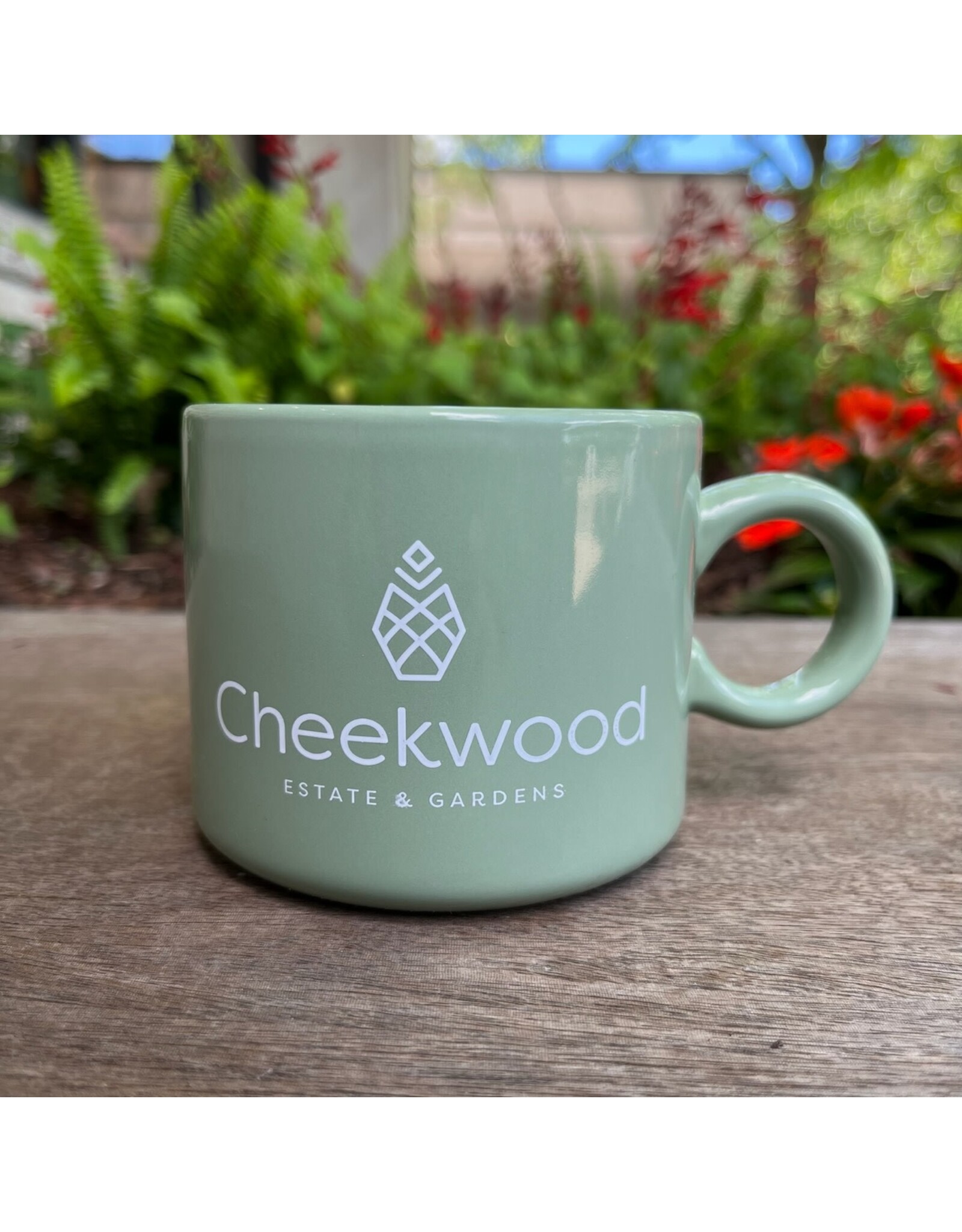 Cheekwood Mint Mug