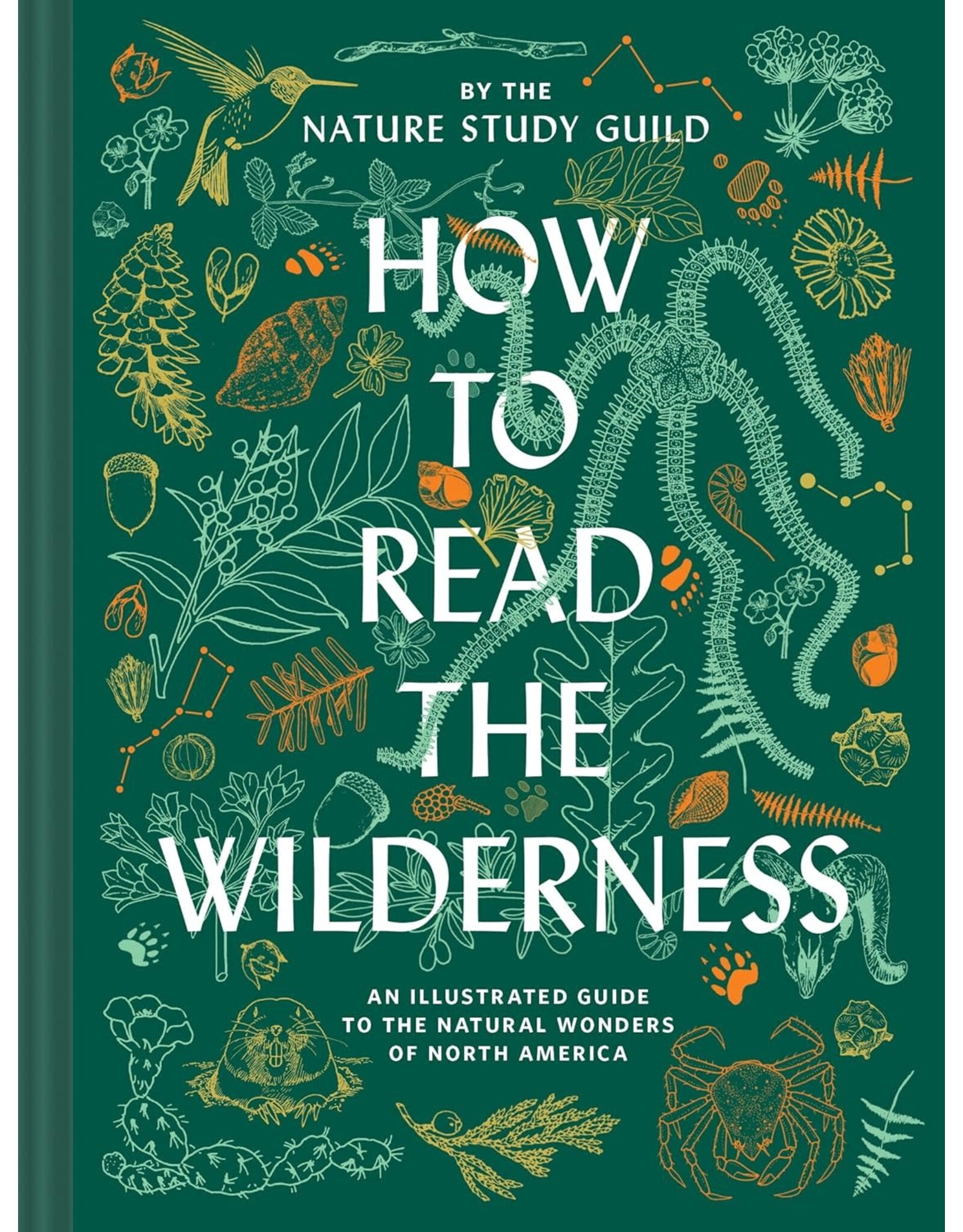 How to Read the Wilderness