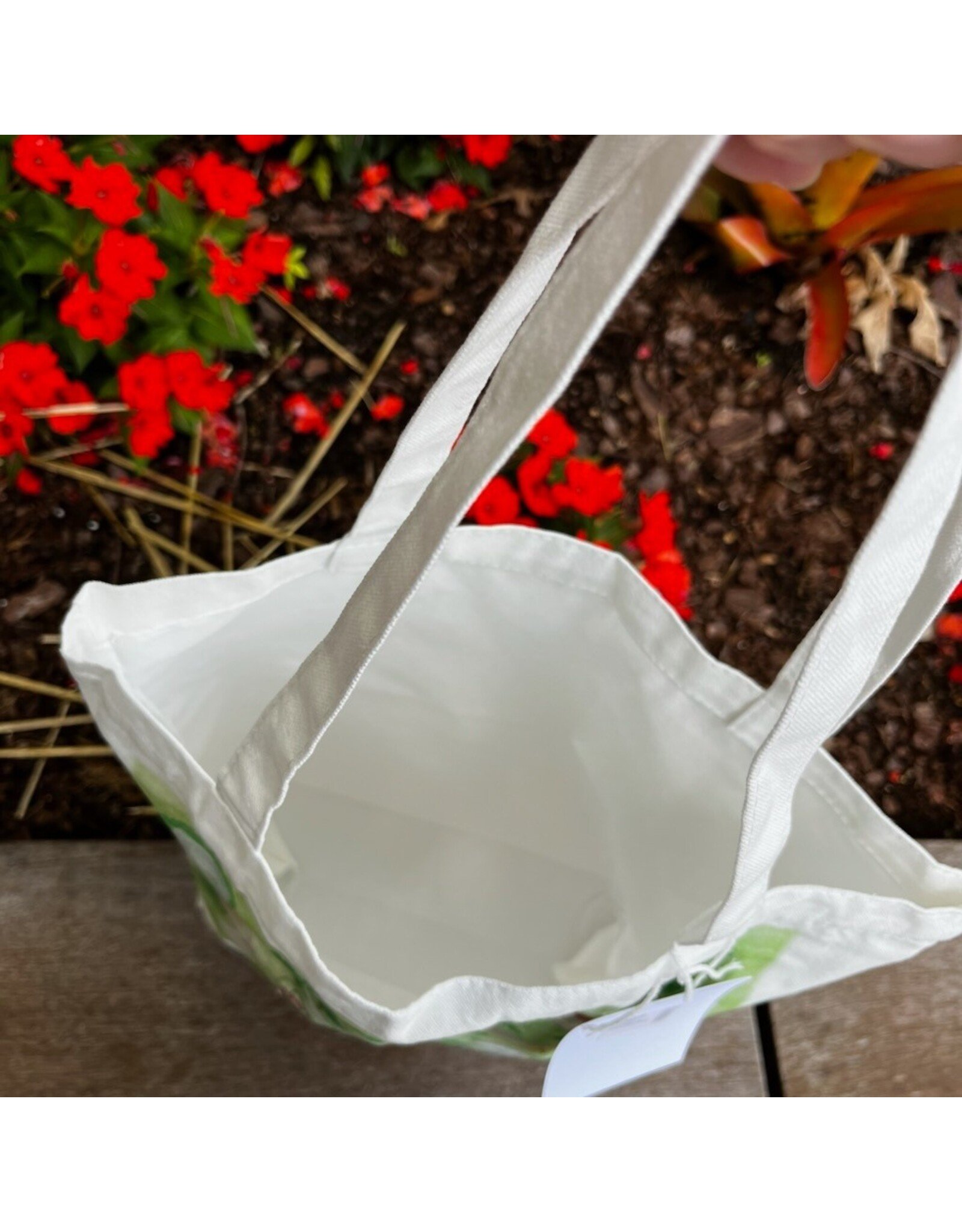 Cheekwood Illustrated Tote