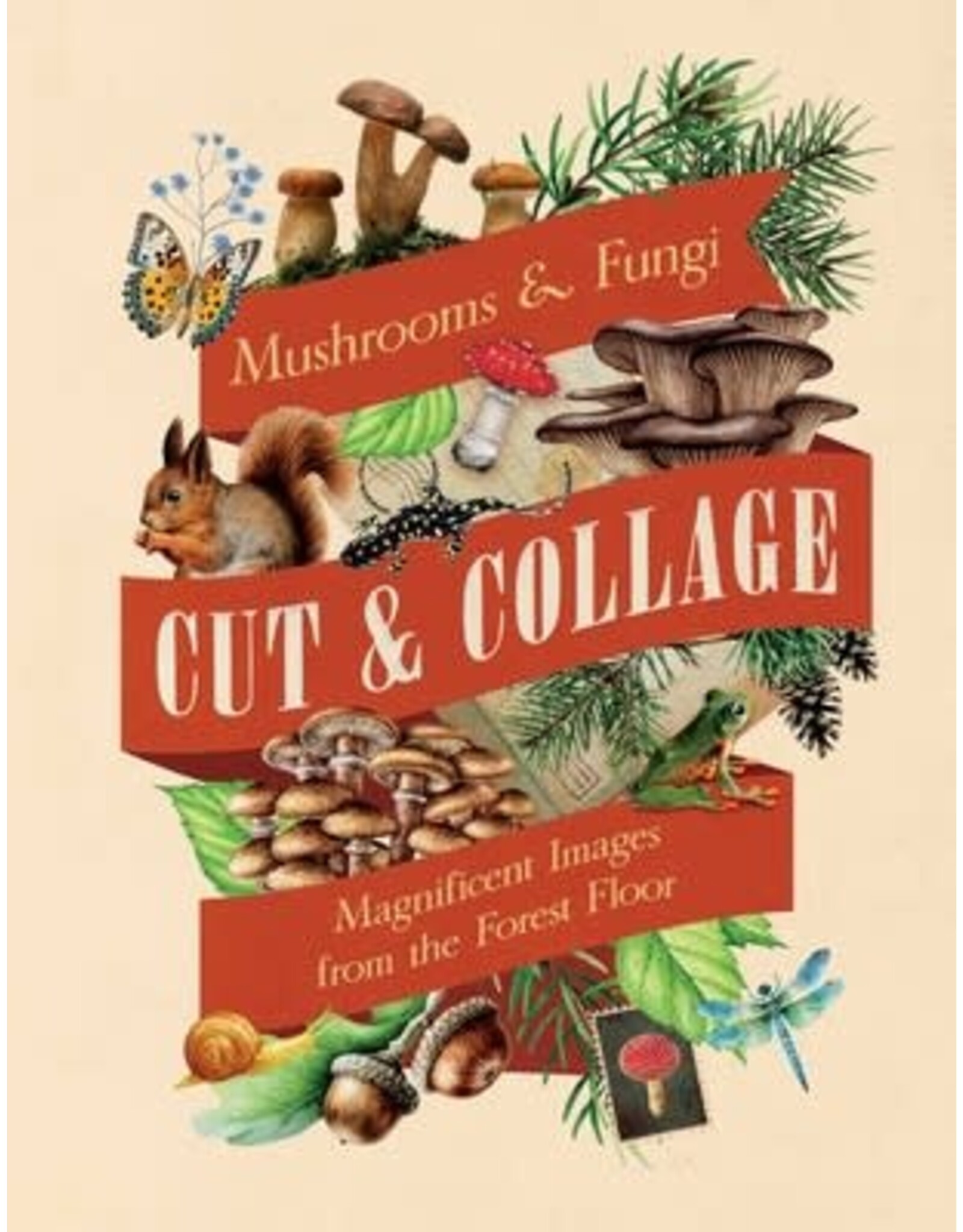 Cut & Collage: Mushrooms & Fungi