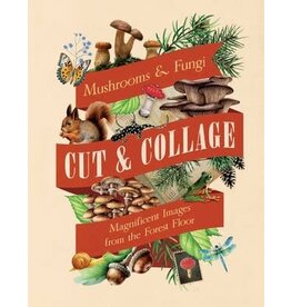 Cut & Collage: Mushrooms & Fungi