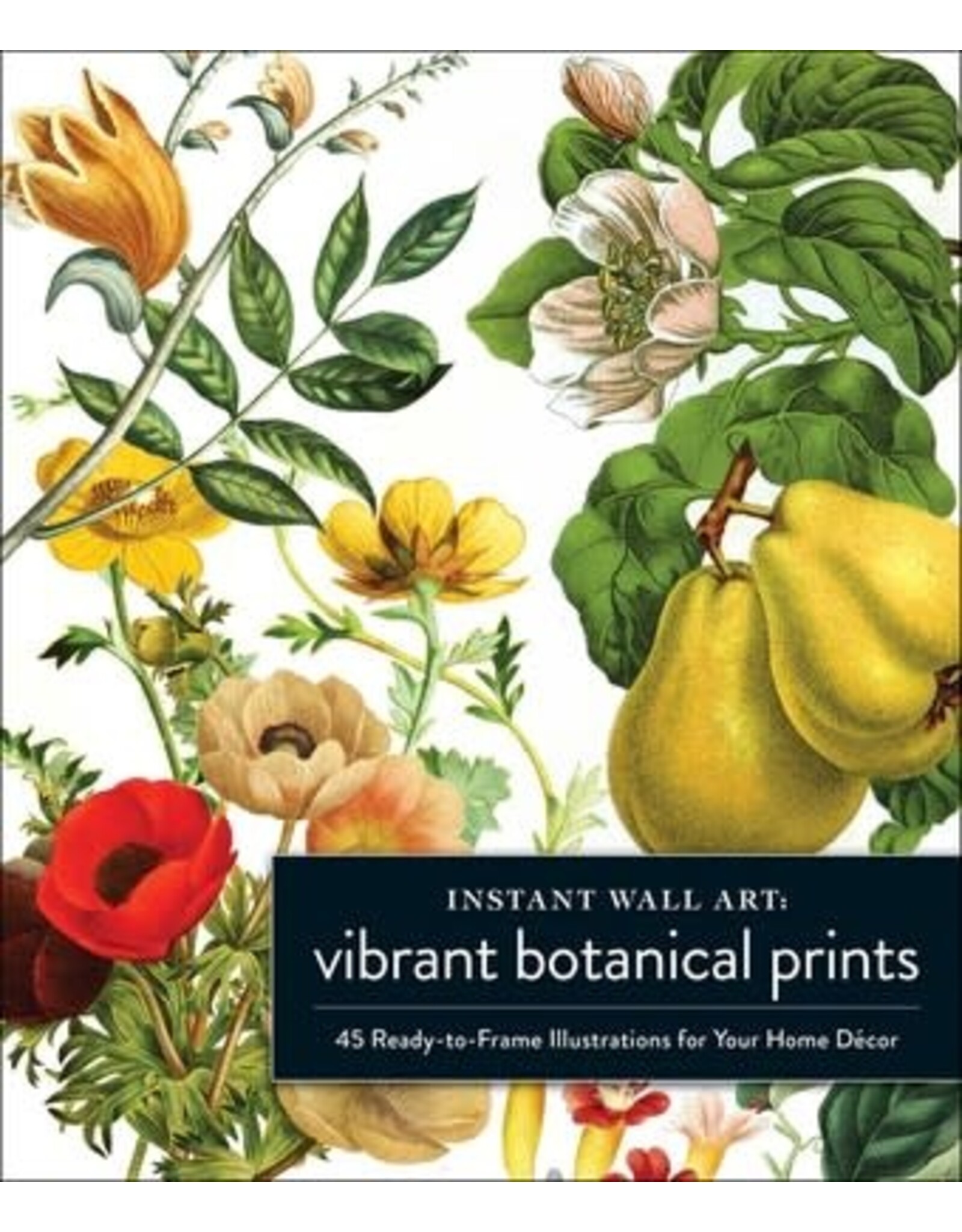 Instant Wall Art: Vibrant Botanical Prints