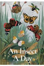 An Insect A Day