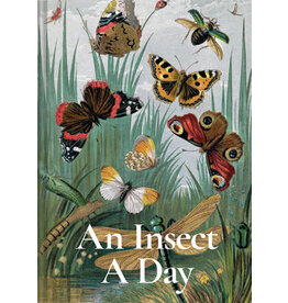 An Insect A Day